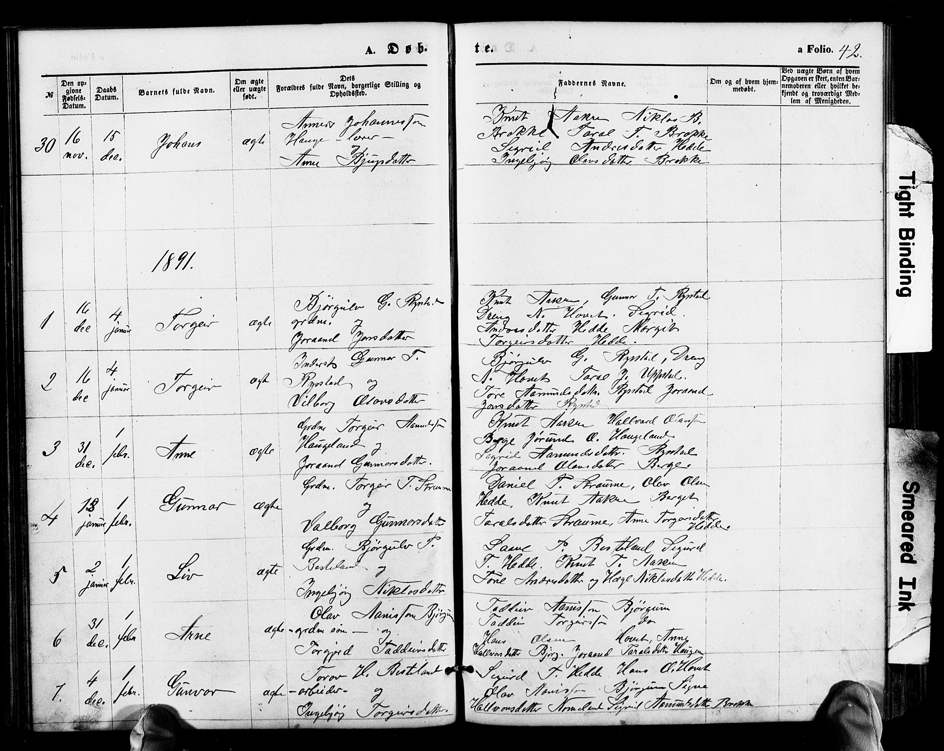 Valle sokneprestkontor, SAK/1111-0044/F/Fb/Fbb/L0002: Parish register (copy) no. B 2, 1875-1921, p. 42