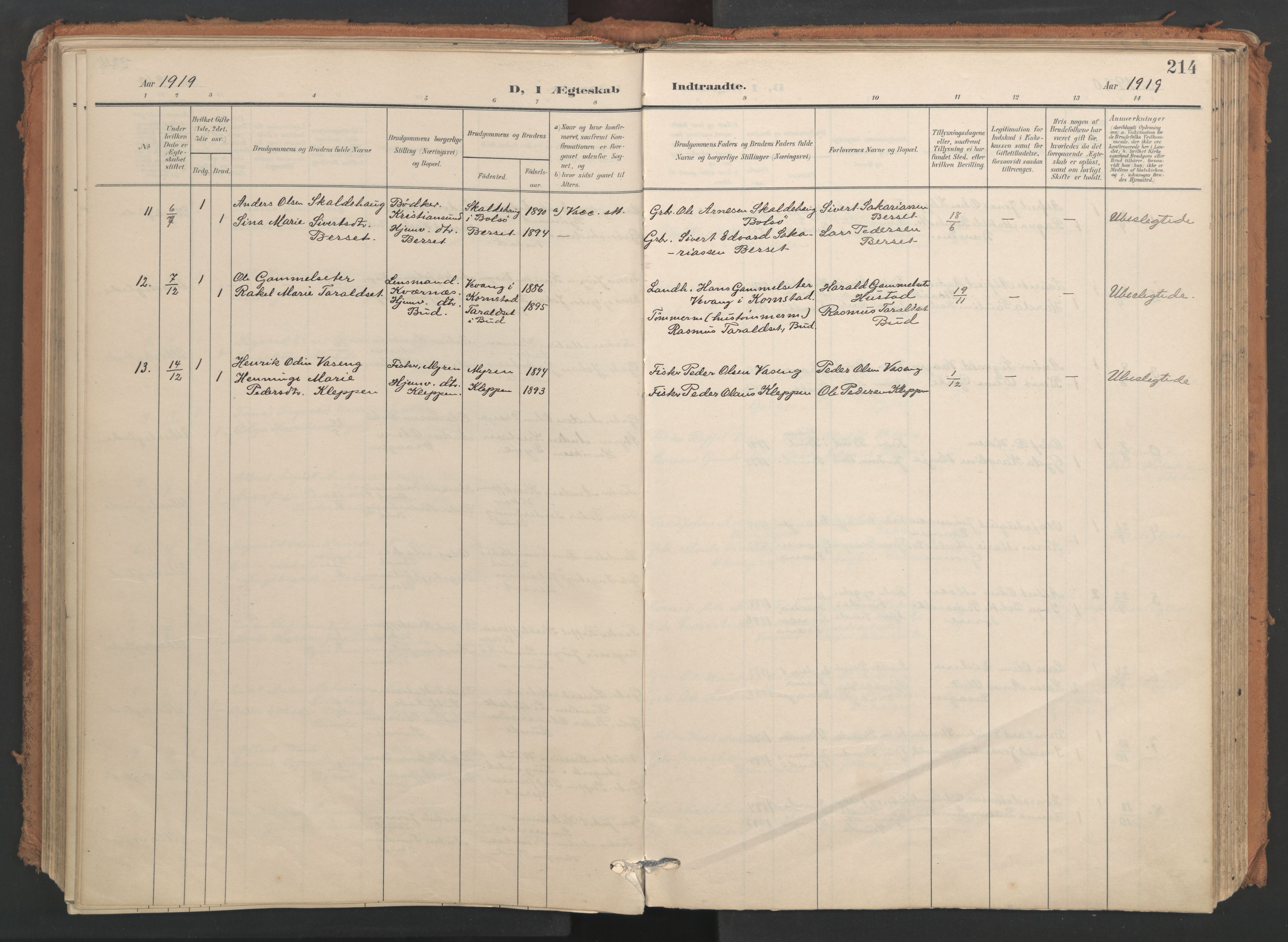 Ministerialprotokoller, klokkerbøker og fødselsregistre - Møre og Romsdal, AV/SAT-A-1454/566/L0771: Parish register (official) no. 566A10, 1904-1929, p. 214