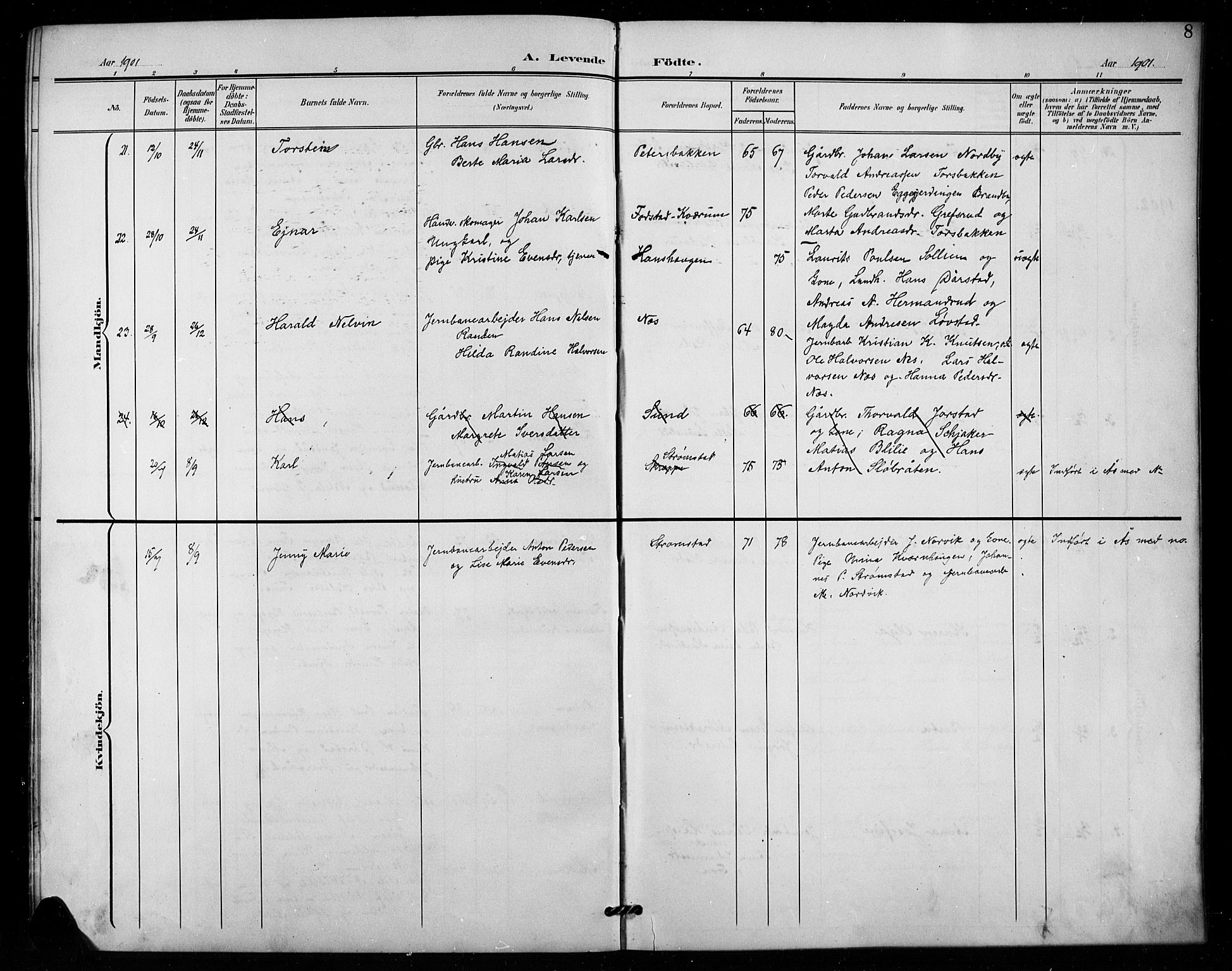 Vestre Toten prestekontor, SAH/PREST-108/H/Ha/Hab/L0016: Parish register (copy) no. 16, 1901-1915, p. 8