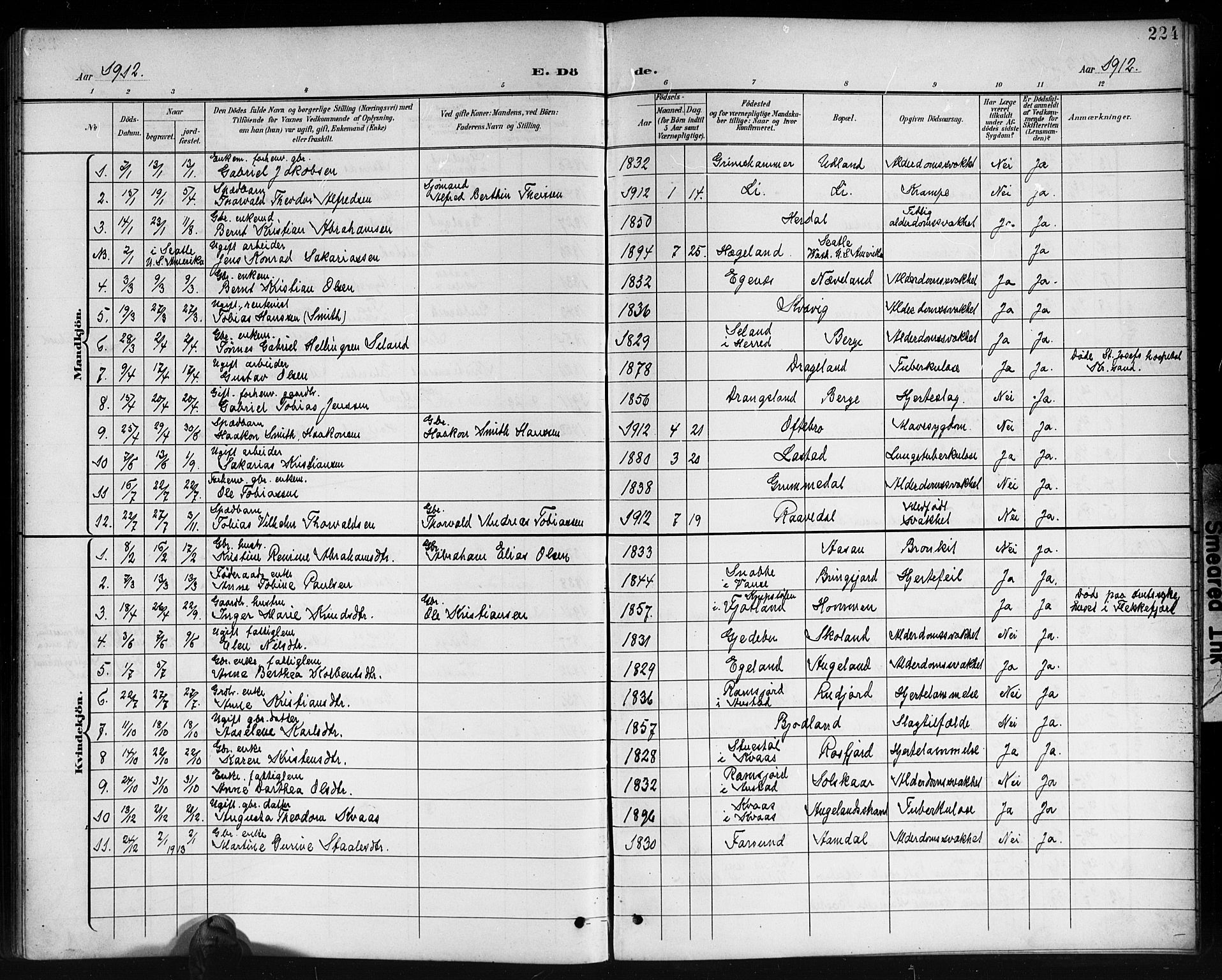 Lyngdal sokneprestkontor, AV/SAK-1111-0029/F/Fb/Fbc/L0005: Parish register (copy) no. B 5, 1897-1913, p. 224