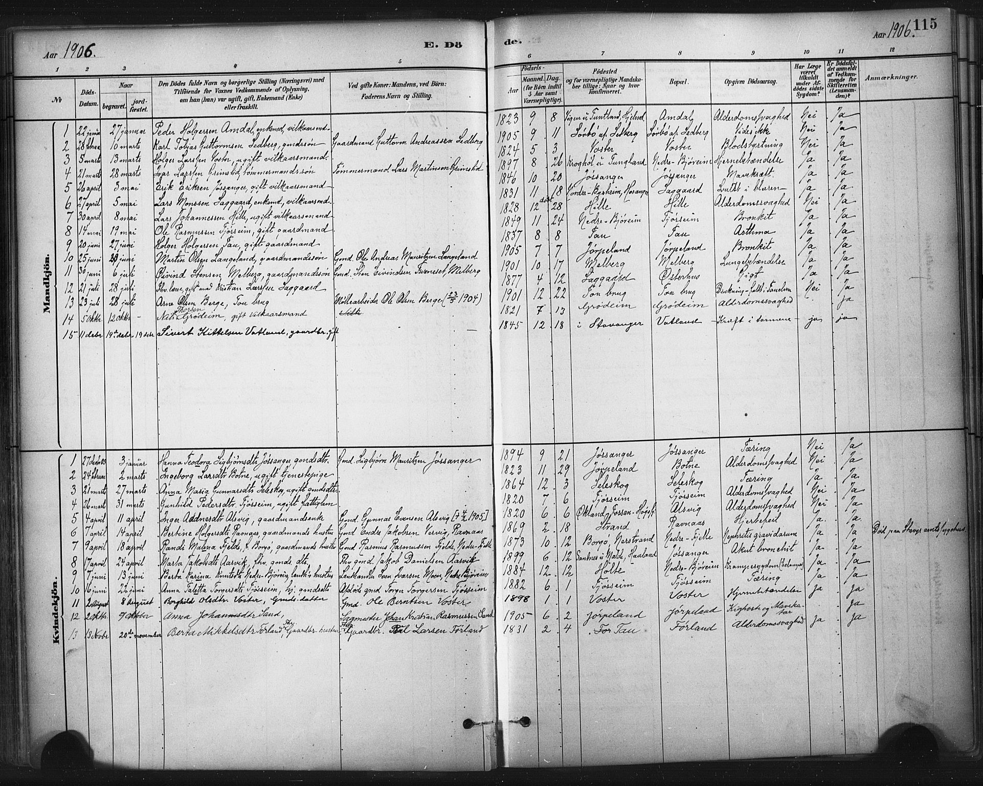 Strand sokneprestkontor, SAST/A-101828/H/Ha/Haa/L0010: Parish register (official) no. A 10, 1882-1929, p. 115