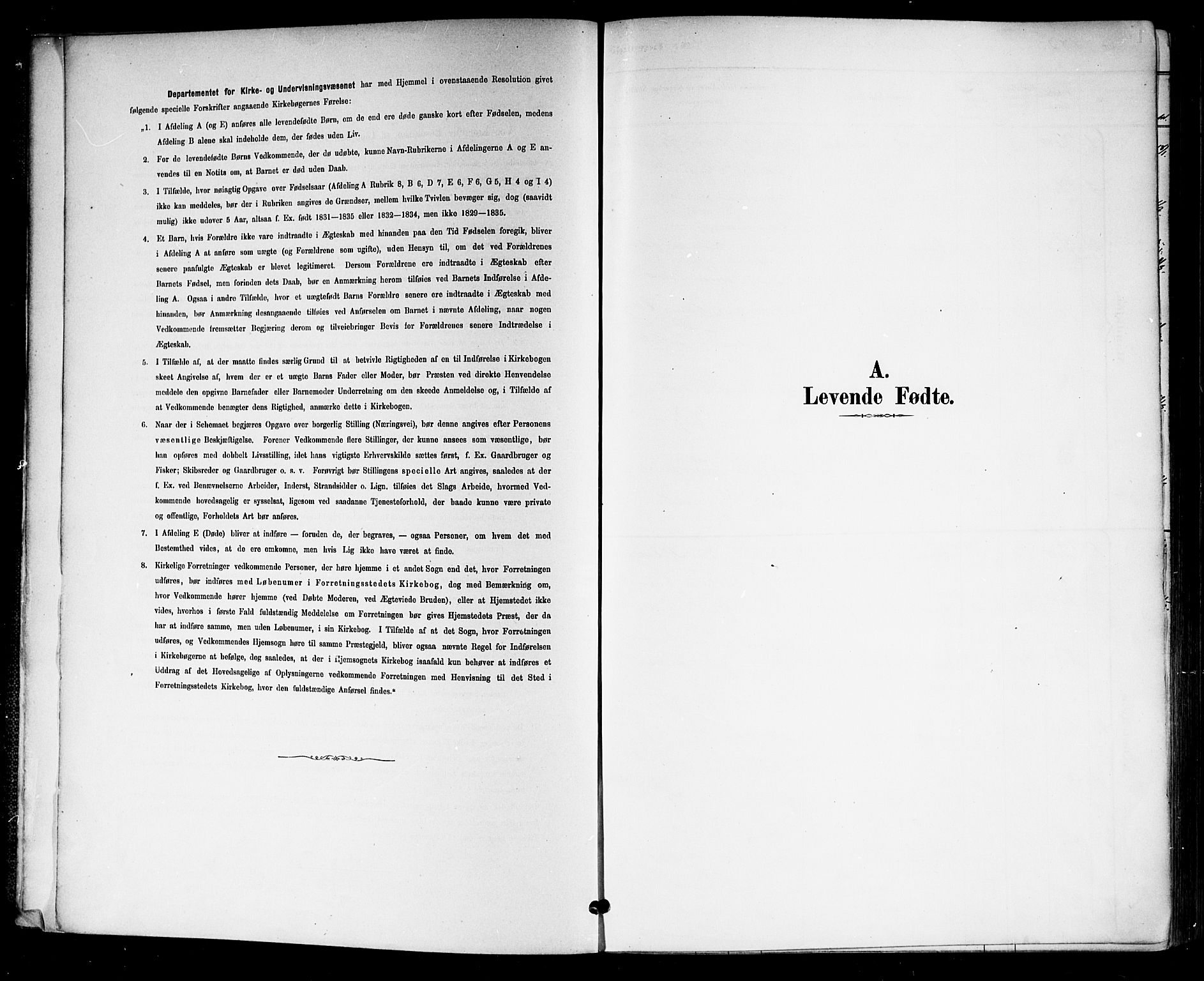 Drangedal kirkebøker, AV/SAKO-A-258/F/Fa/L0010: Parish register (official) no. 10 /1, 1885-1894