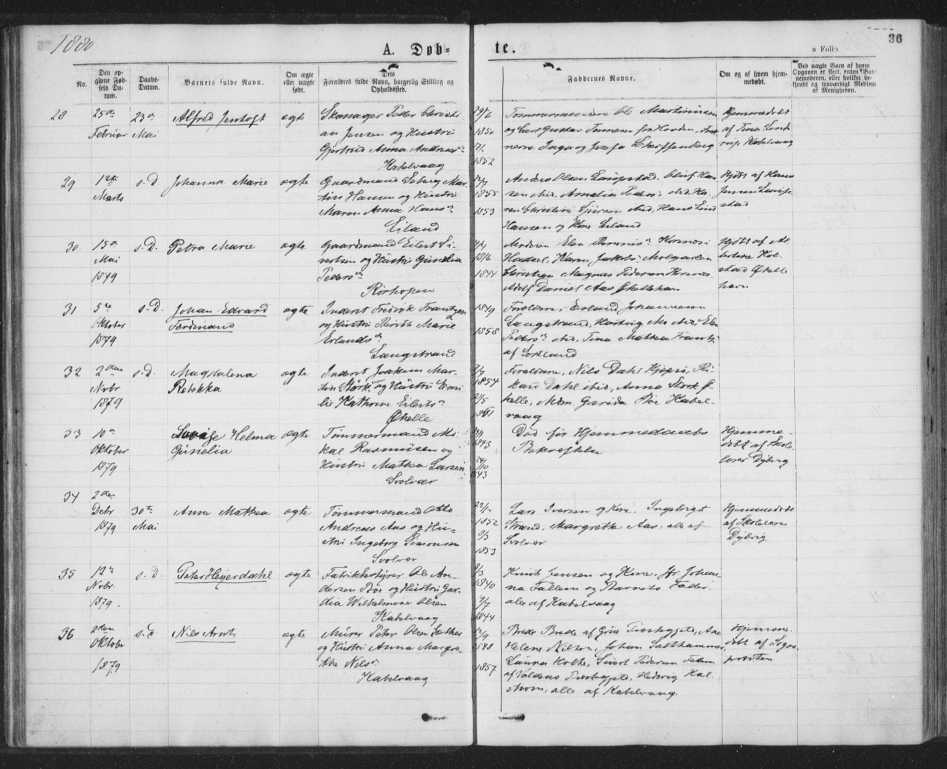 Ministerialprotokoller, klokkerbøker og fødselsregistre - Nordland, AV/SAT-A-1459/874/L1058: Parish register (official) no. 874A02, 1878-1883, p. 36