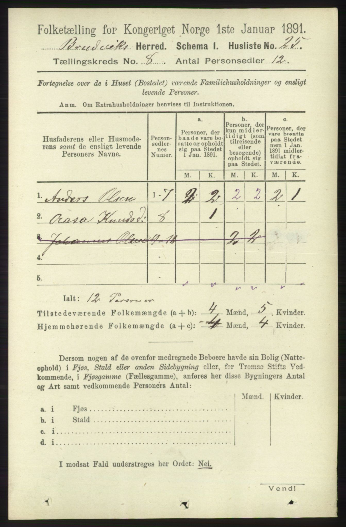 RA, 1891 census for 1251 Bruvik, 1891, p. 2886