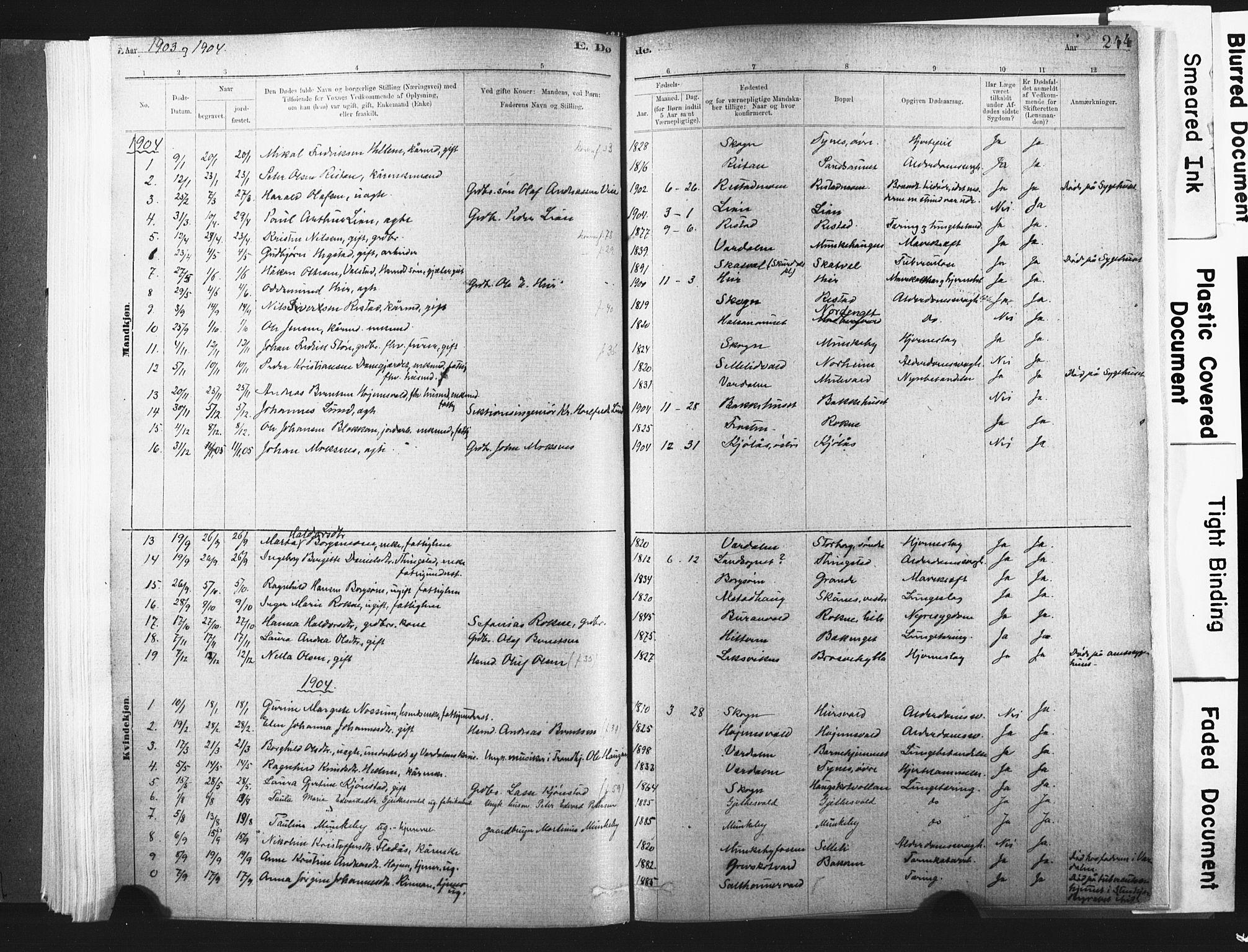 Ministerialprotokoller, klokkerbøker og fødselsregistre - Nord-Trøndelag, SAT/A-1458/721/L0207: Parish register (official) no. 721A02, 1880-1911, p. 244