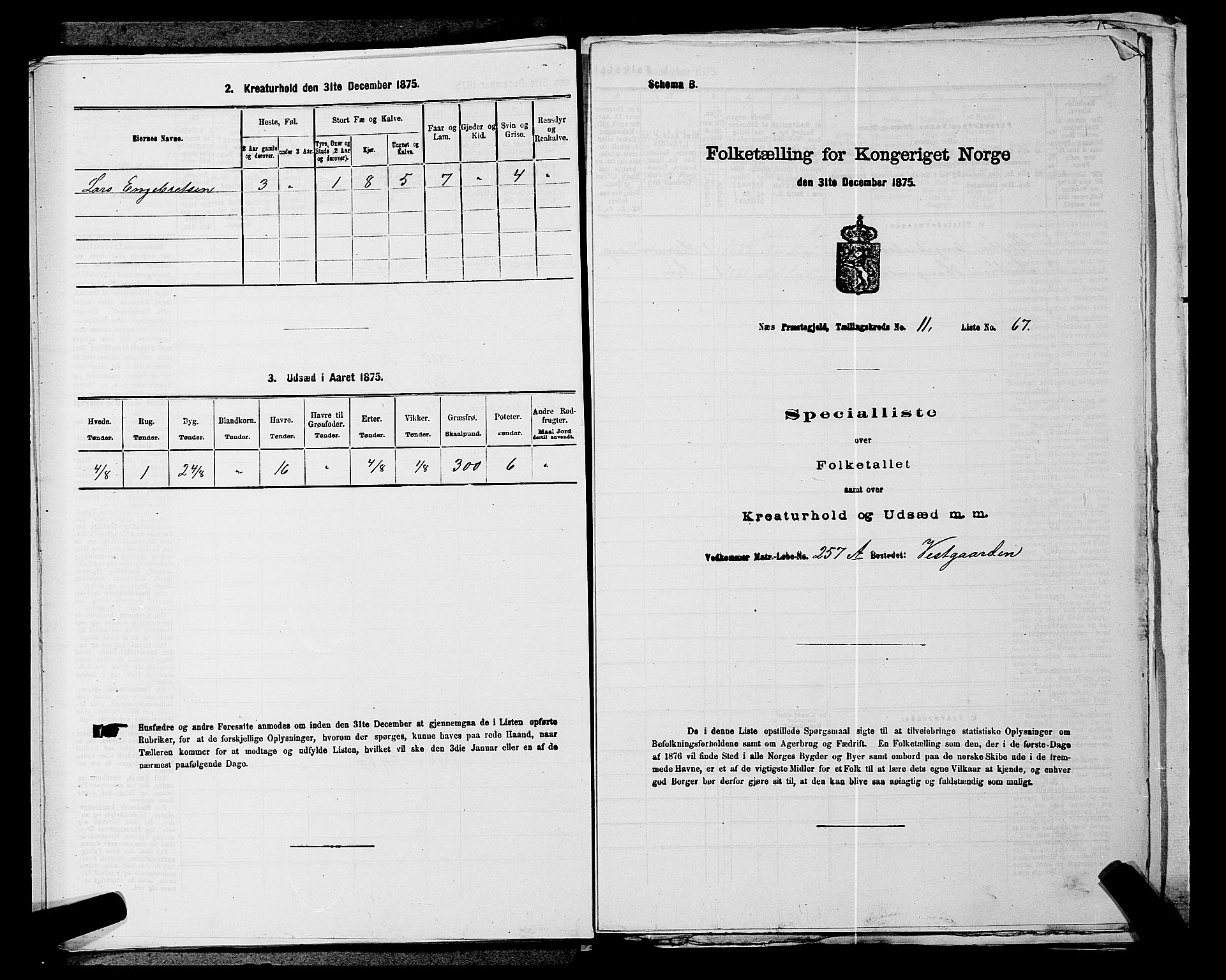 RA, 1875 census for 0236P Nes, 1875, p. 2023