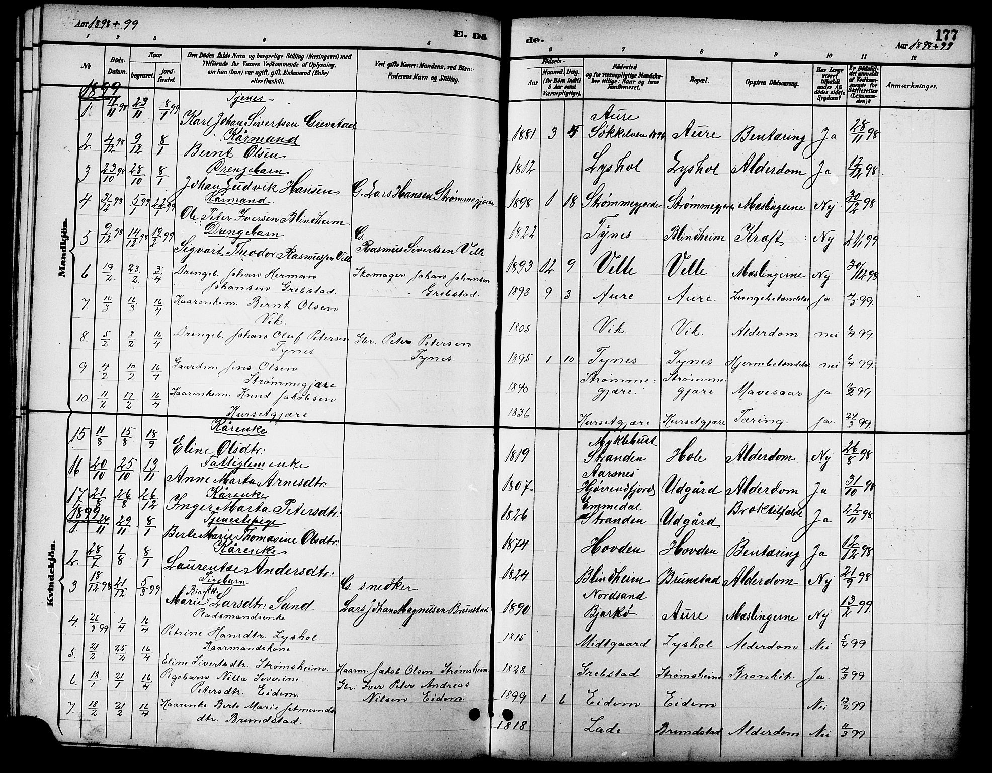 Ministerialprotokoller, klokkerbøker og fødselsregistre - Møre og Romsdal, AV/SAT-A-1454/523/L0340: Parish register (copy) no. 523C03, 1892-1902, p. 177