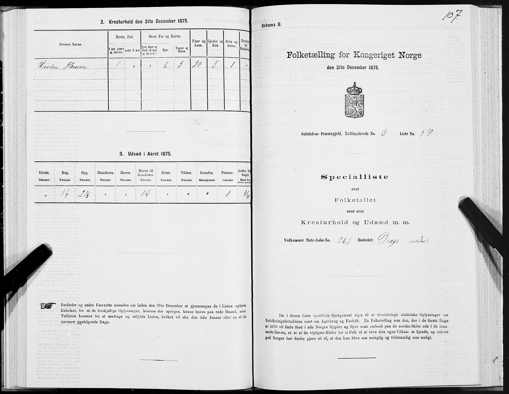 SAT, 1875 census for 1840P Saltdal, 1875, p. 2107