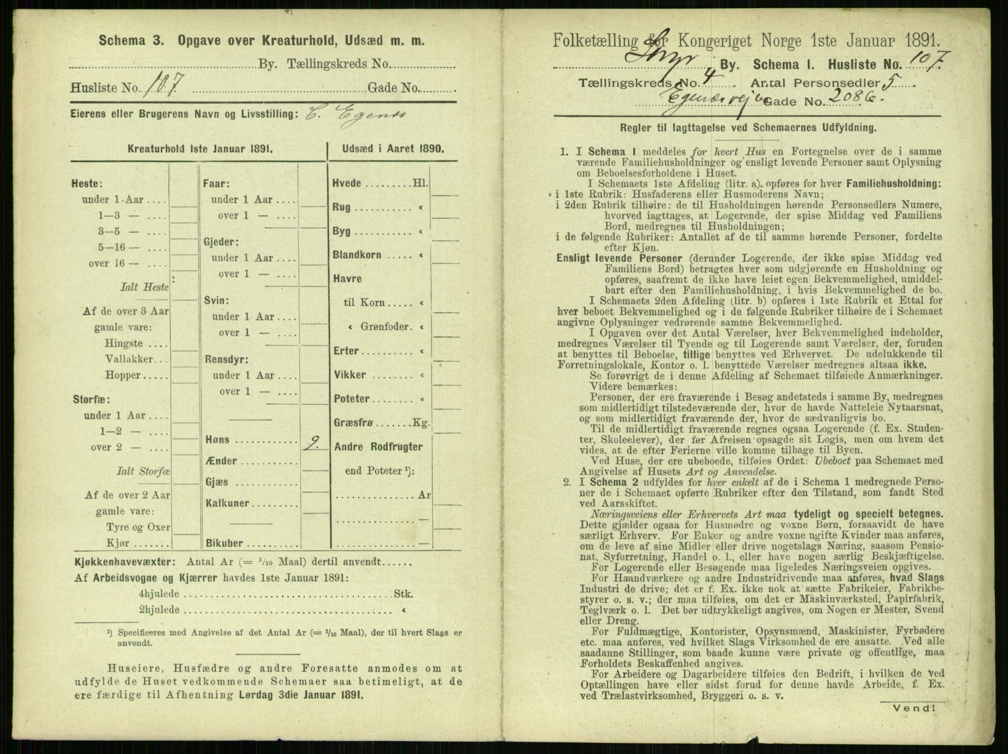 RA, 1891 census for 1103 Stavanger, 1891, p. 877