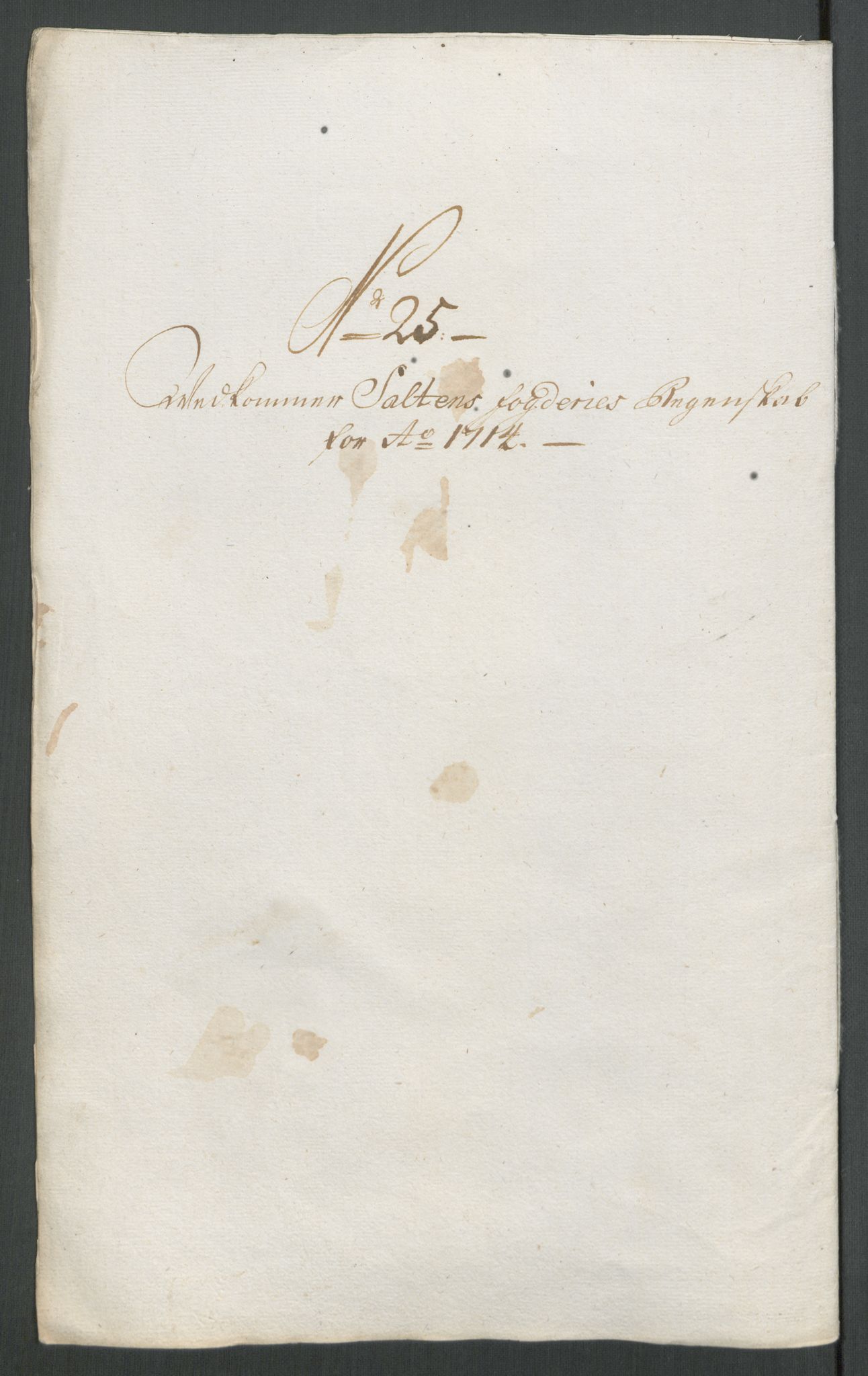 Rentekammeret inntil 1814, Reviderte regnskaper, Fogderegnskap, RA/EA-4092/R66/L4584: Fogderegnskap Salten, 1714, p. 234