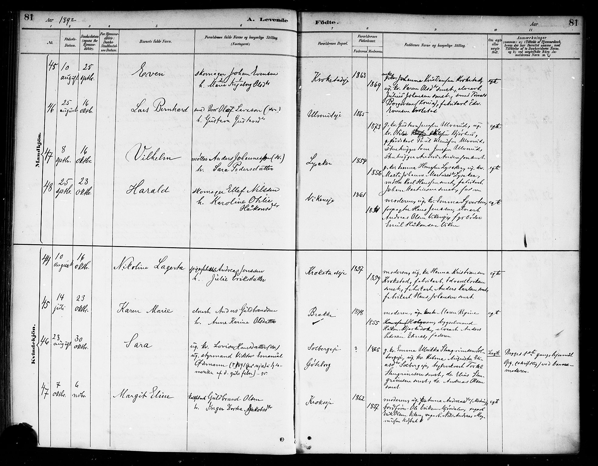Nedre Eiker kirkebøker, AV/SAKO-A-612/F/Fa/L0003: Parish register (official) no. 3, 1885-1892, p. 81