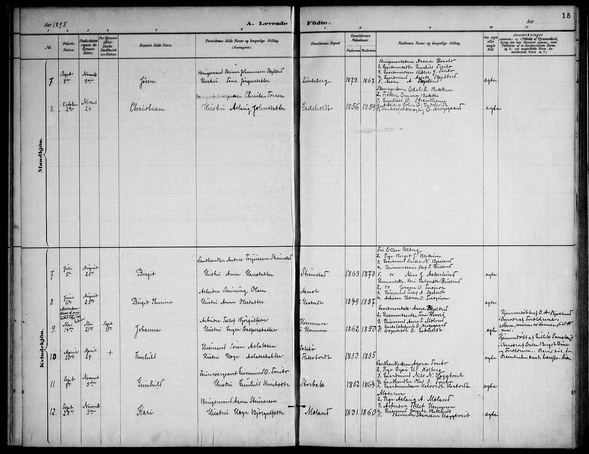 Lårdal kirkebøker, AV/SAKO-A-284/F/Fa/L0007: Parish register (official) no. I 7, 1887-1906, p. 15