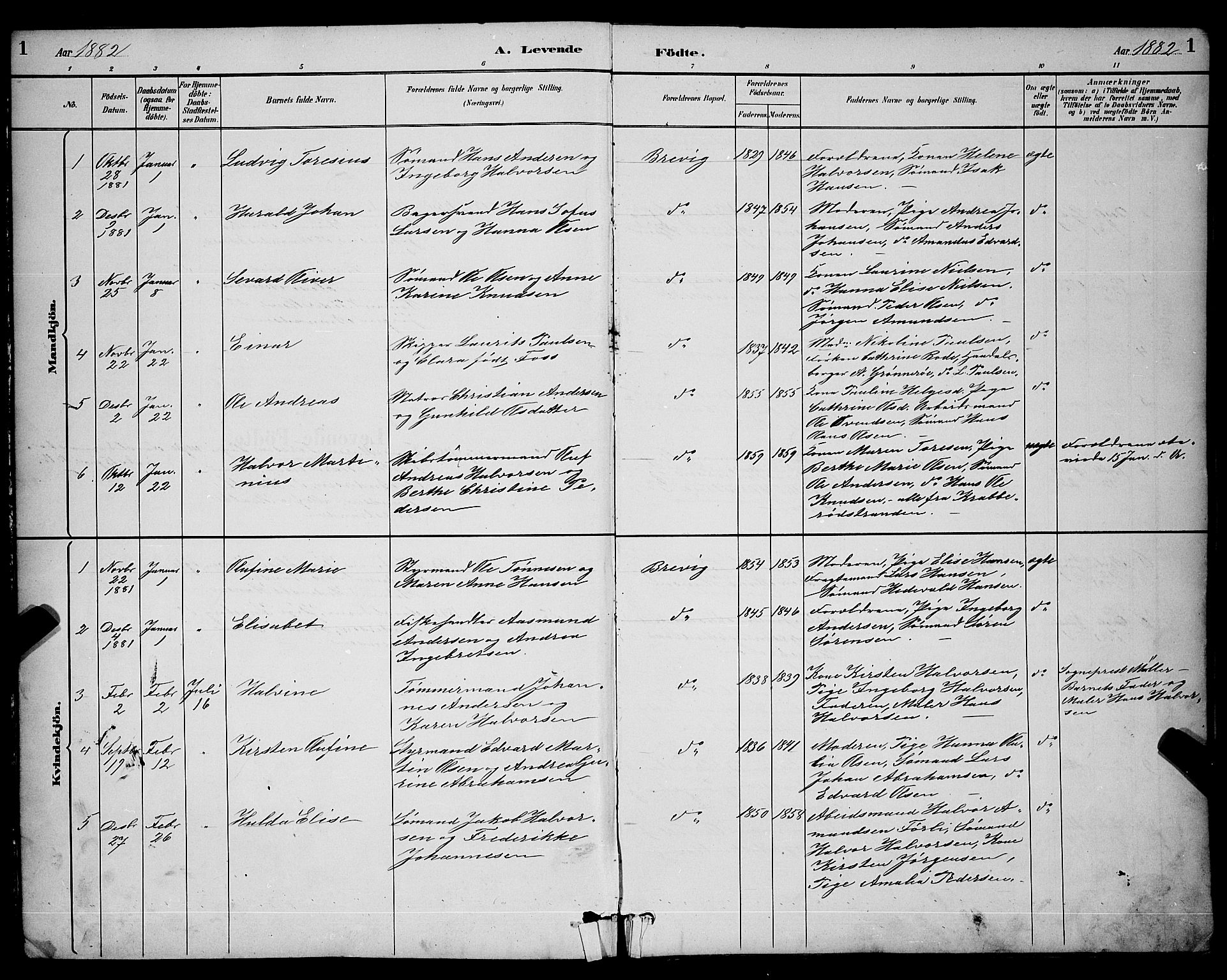 Brevik kirkebøker, AV/SAKO-A-255/G/Ga/L0004: Parish register (copy) no. 4, 1882-1900, p. 1