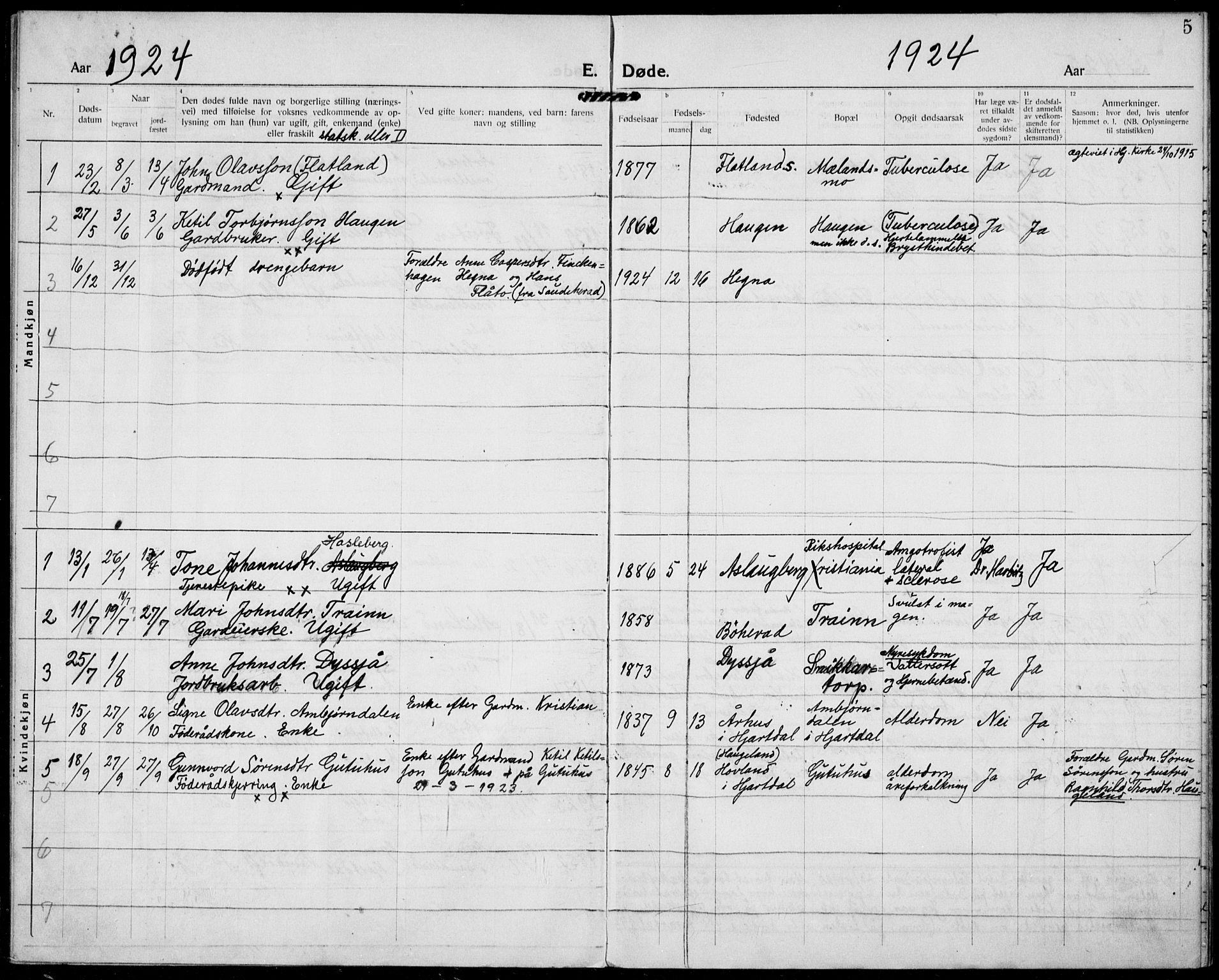 Hjartdal kirkebøker, SAKO/A-270/F/Fa/L0012: Parish register (official) no. I 12, 1923-1930, p. 5
