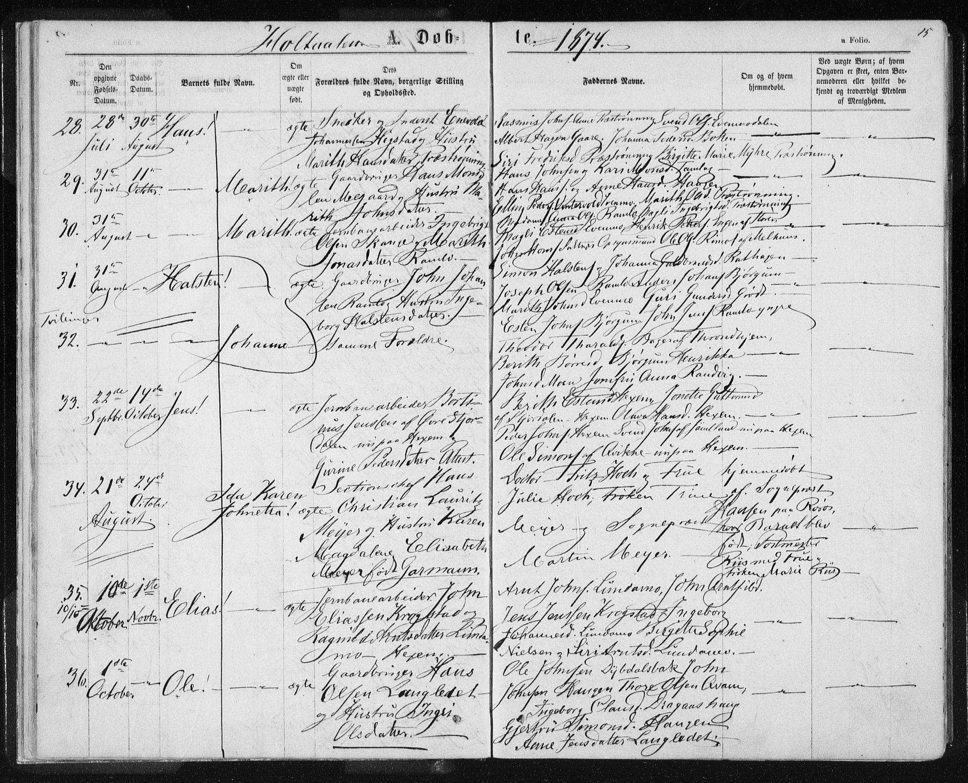 Ministerialprotokoller, klokkerbøker og fødselsregistre - Sør-Trøndelag, SAT/A-1456/685/L0969: Parish register (official) no. 685A08 /1, 1870-1878, p. 15