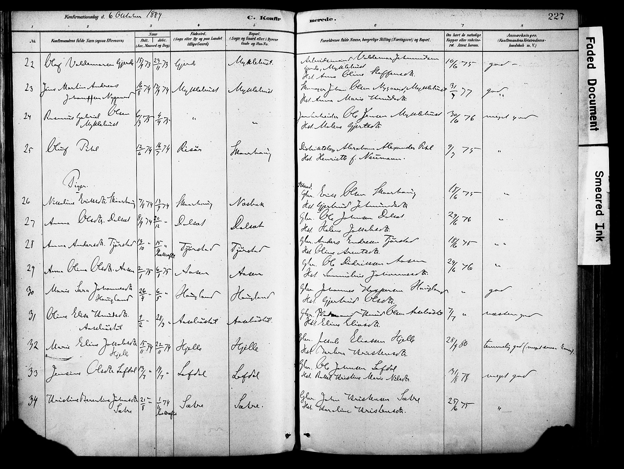 Eid sokneprestembete, AV/SAB-A-82301/H/Haa/Haab/L0001: Parish register (official) no. B 1, 1879-1906, p. 227