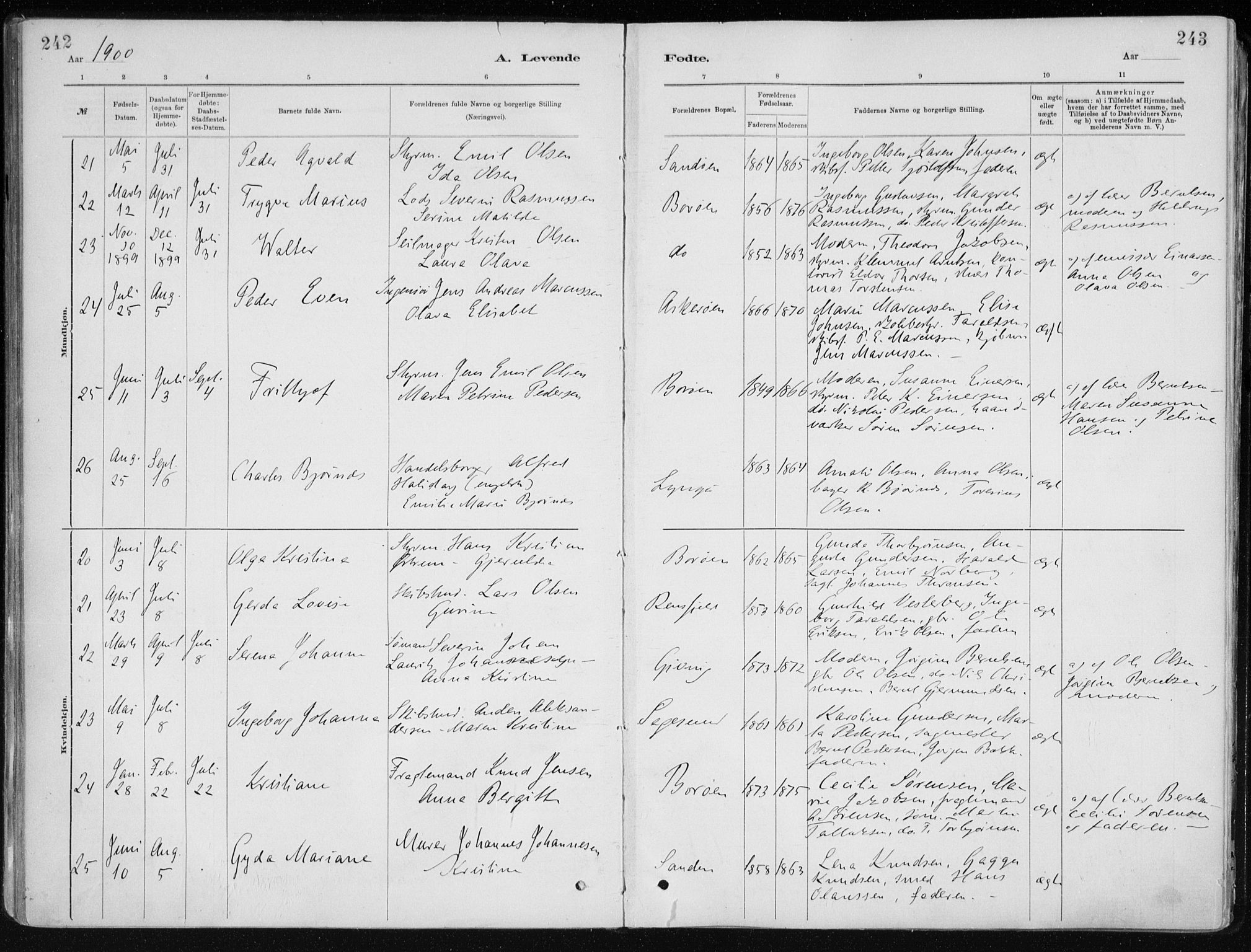 Dypvåg sokneprestkontor, AV/SAK-1111-0007/F/Fa/Faa/L0008: Parish register (official) no. A 8, 1885-1906, p. 242-243