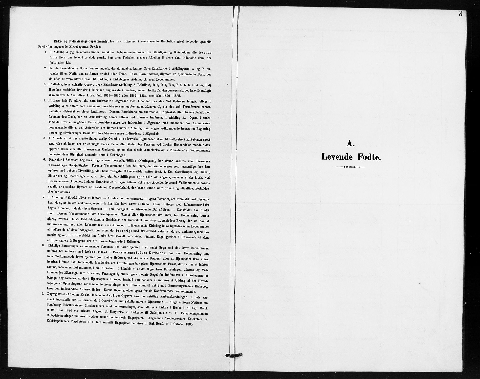 Idd prestekontor Kirkebøker, SAO/A-10911/G/Gb/L0001: Parish register (copy) no. II 1, 1901-1907, p. 3