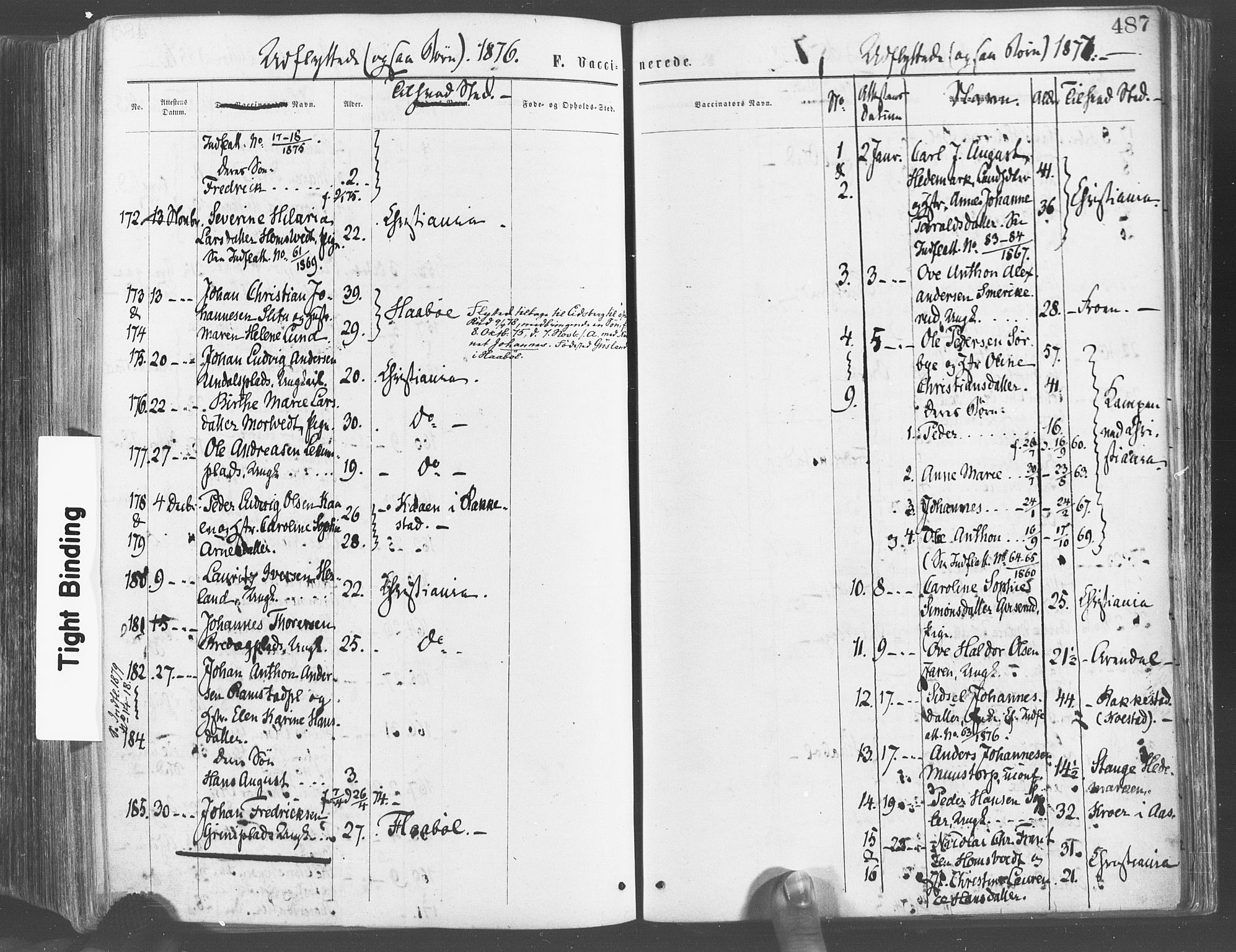 Eidsberg prestekontor Kirkebøker, SAO/A-10905/F/Fa/L0011: Parish register (official) no. I 11, 1867-1878, p. 487