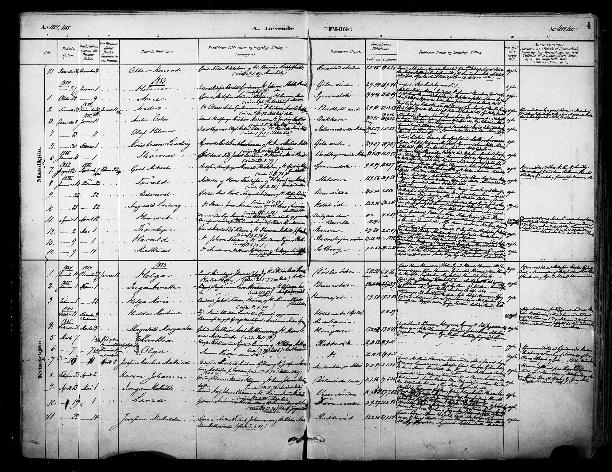 Stokke kirkebøker, AV/SAKO-A-320/F/Fa/L0010: Parish register (official) no. I 10, 1884-1903, p. 4