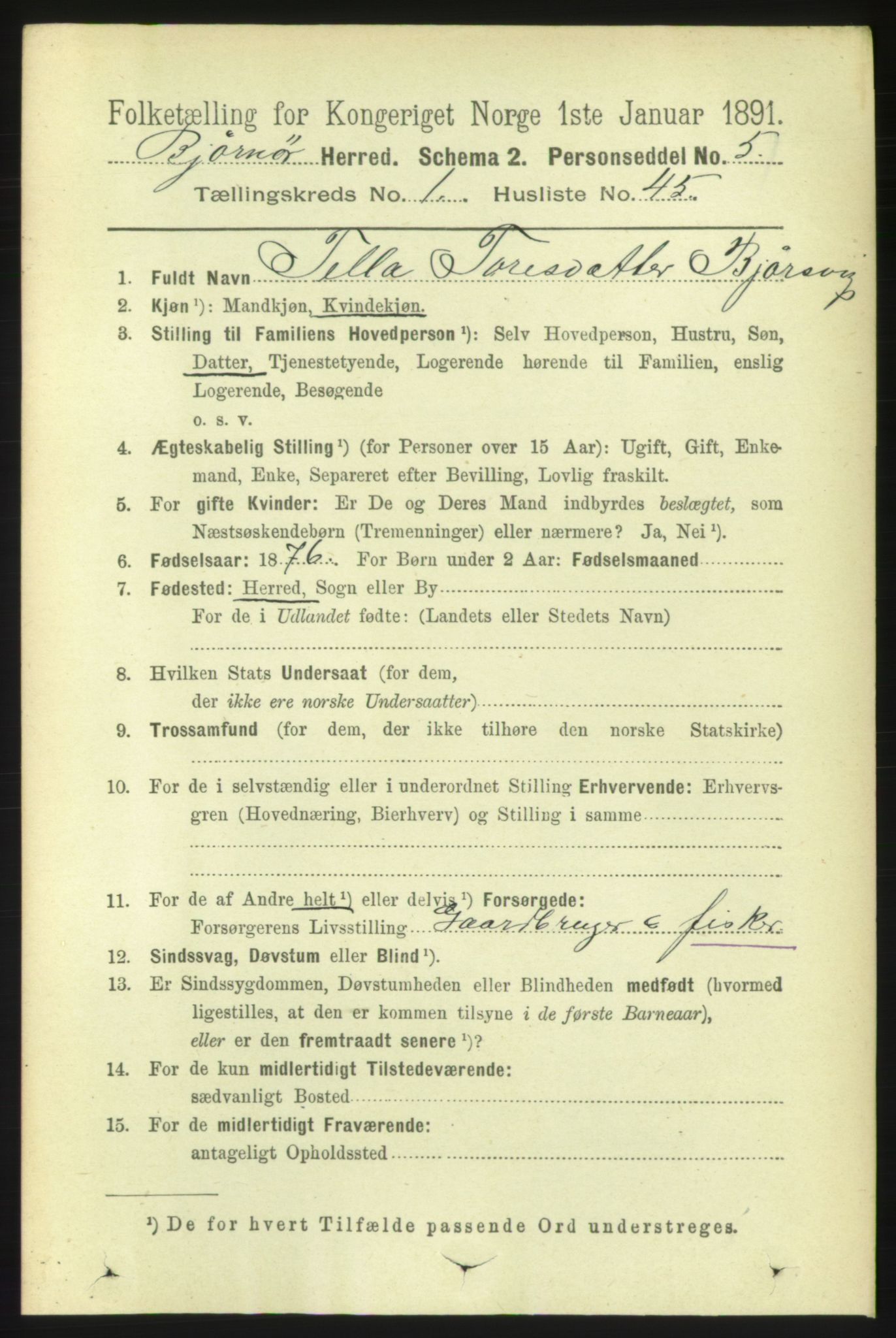 RA, 1891 census for 1632 Bjørnør, 1891, p. 386