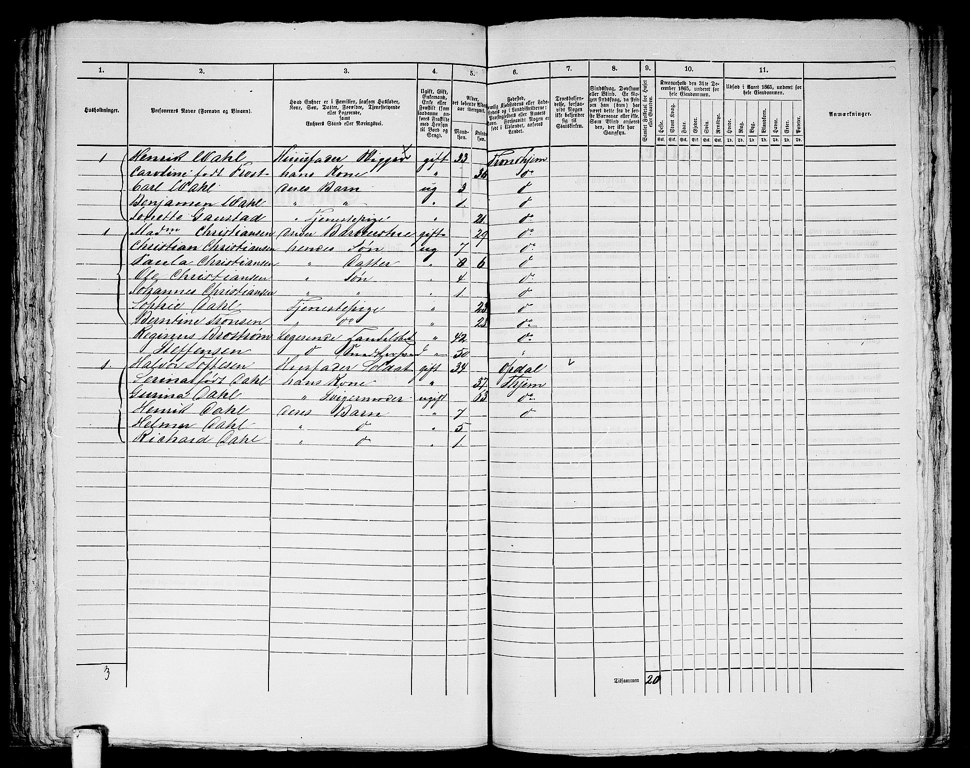 RA, 1865 census for Trondheim, 1865, p. 939