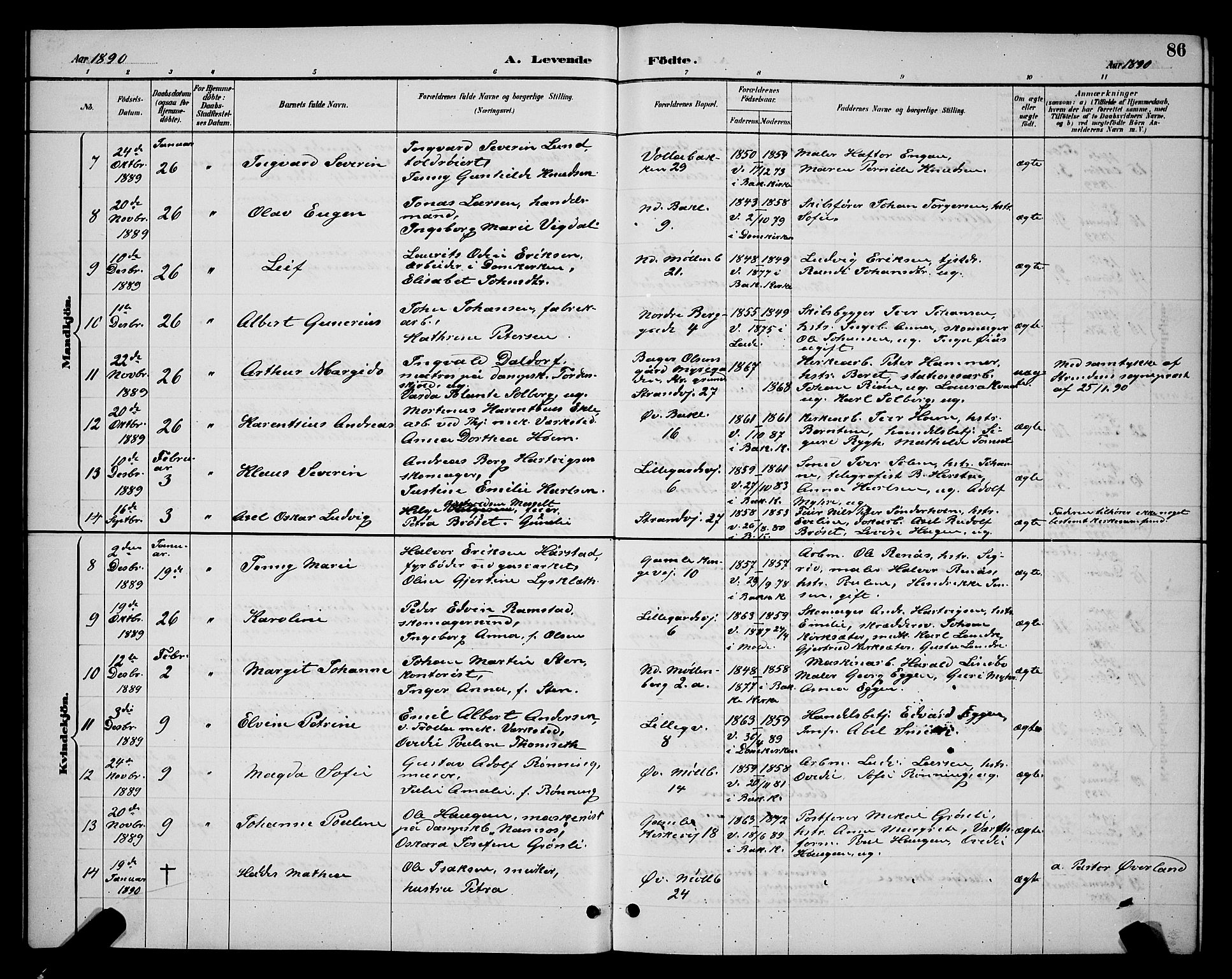 Ministerialprotokoller, klokkerbøker og fødselsregistre - Sør-Trøndelag, SAT/A-1456/604/L0222: Parish register (copy) no. 604C05, 1886-1895, p. 86