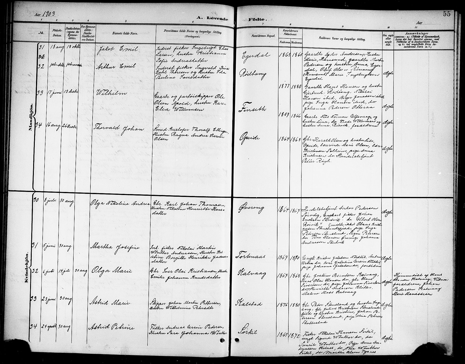 Ministerialprotokoller, klokkerbøker og fødselsregistre - Nordland, AV/SAT-A-1459/859/L0860: Parish register (copy) no. 859C06, 1899-1909, p. 55