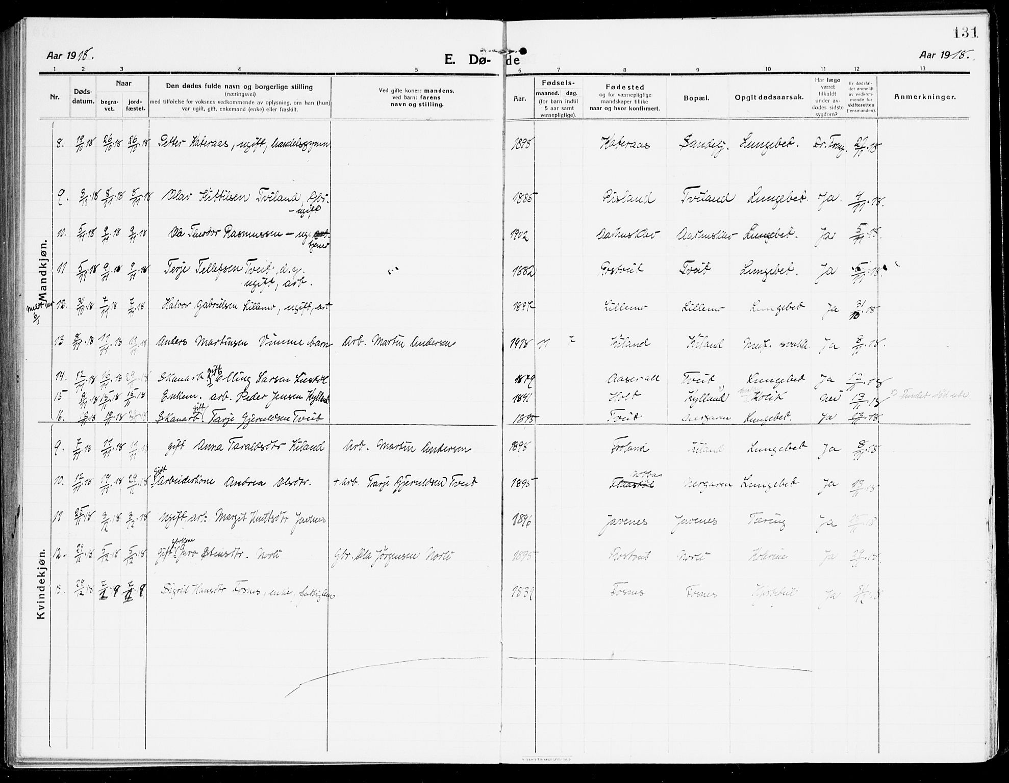 Åmli sokneprestkontor, AV/SAK-1111-0050/F/Fa/Fac/L0013: Parish register (official) no. A 13, 1914-1933, p. 131