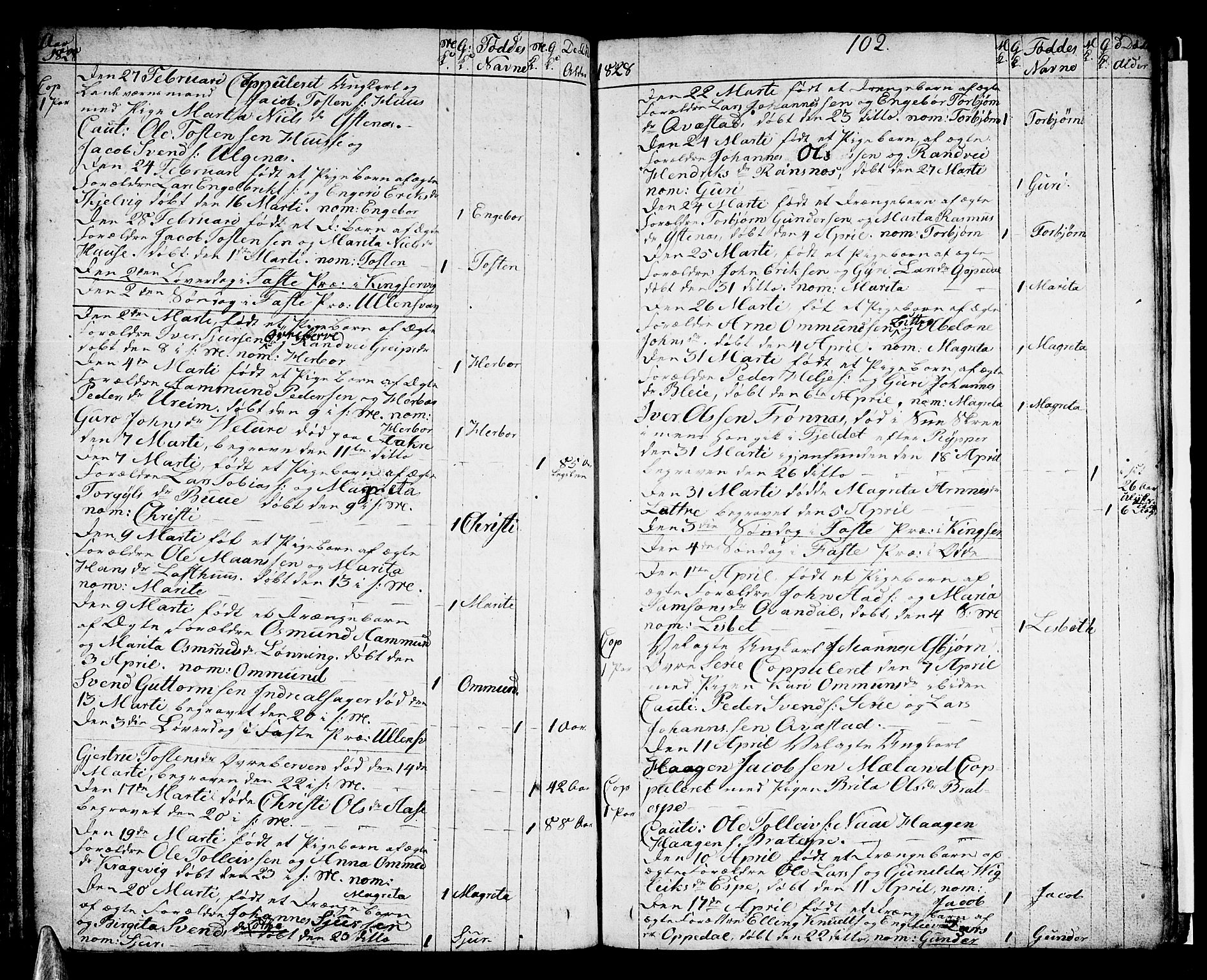 Ullensvang sokneprestembete, SAB/A-78701/H/Haa: Parish register (official) no. A 8, 1804-1835, p. 102