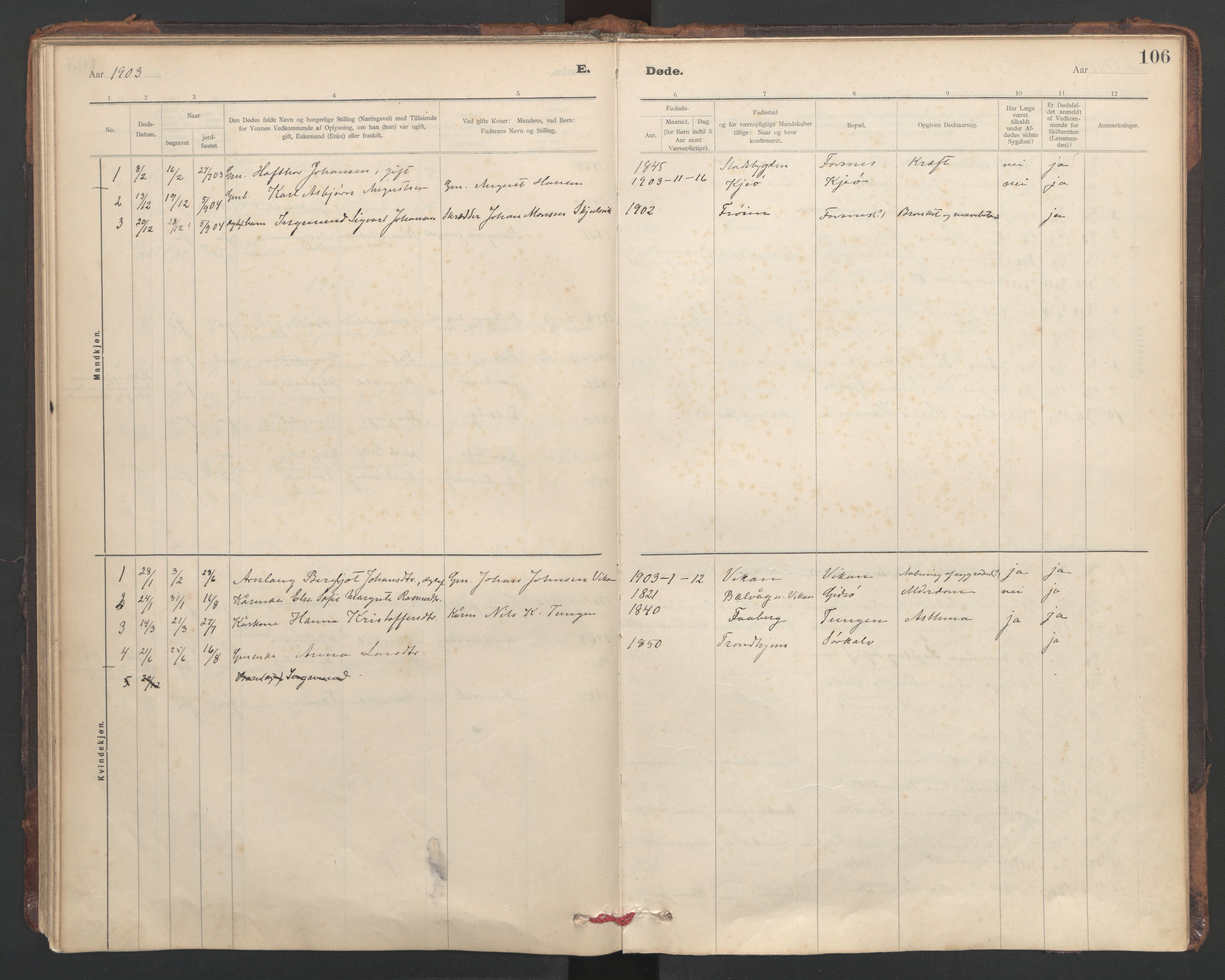 Ministerialprotokoller, klokkerbøker og fødselsregistre - Sør-Trøndelag, SAT/A-1456/635/L0552: Parish register (official) no. 635A02, 1899-1919, p. 106
