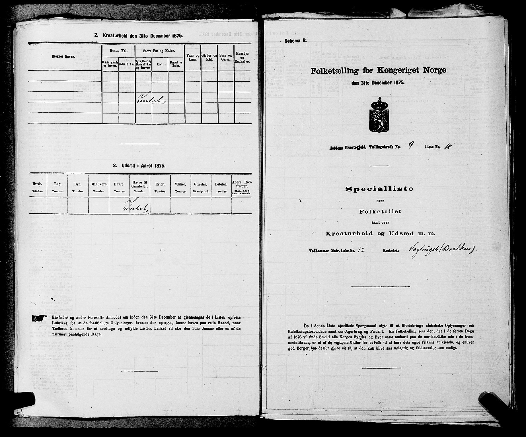 SAKO, 1875 census for 0819P Holla, 1875, p. 1096