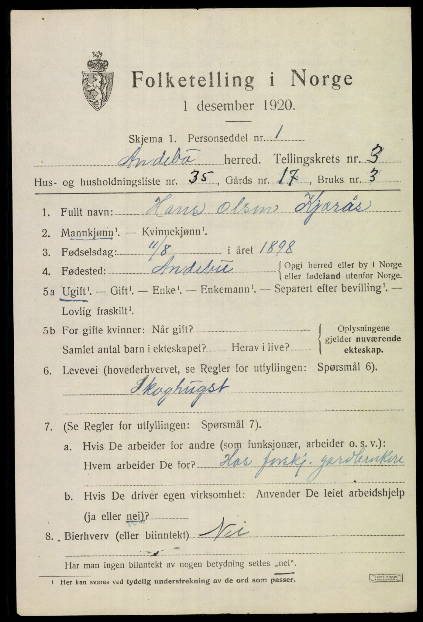 SAKO, 1920 census for Andebu, 1920, p. 2236