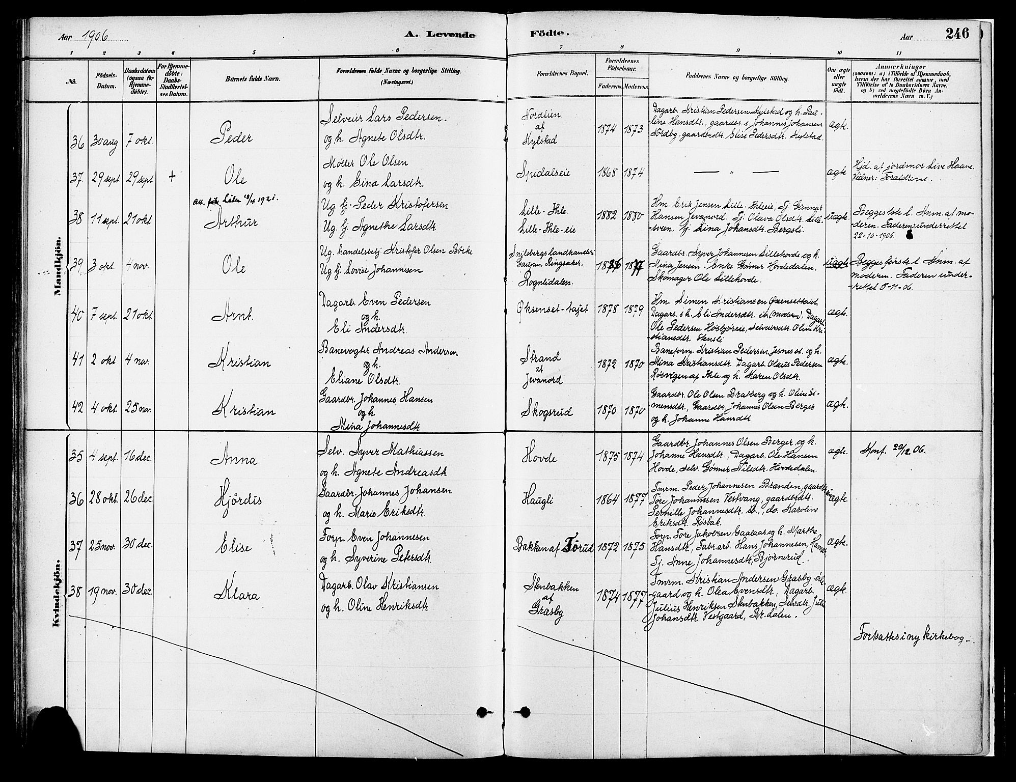 Vang prestekontor, Hedmark, AV/SAH-PREST-008/H/Ha/Haa/L0018A: Parish register (official) no. 18A, 1880-1906, p. 246