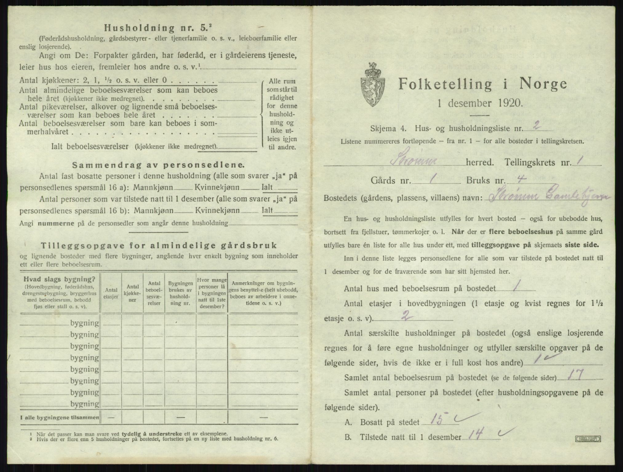 SAKO, 1920 census for Strømm, 1920, p. 22