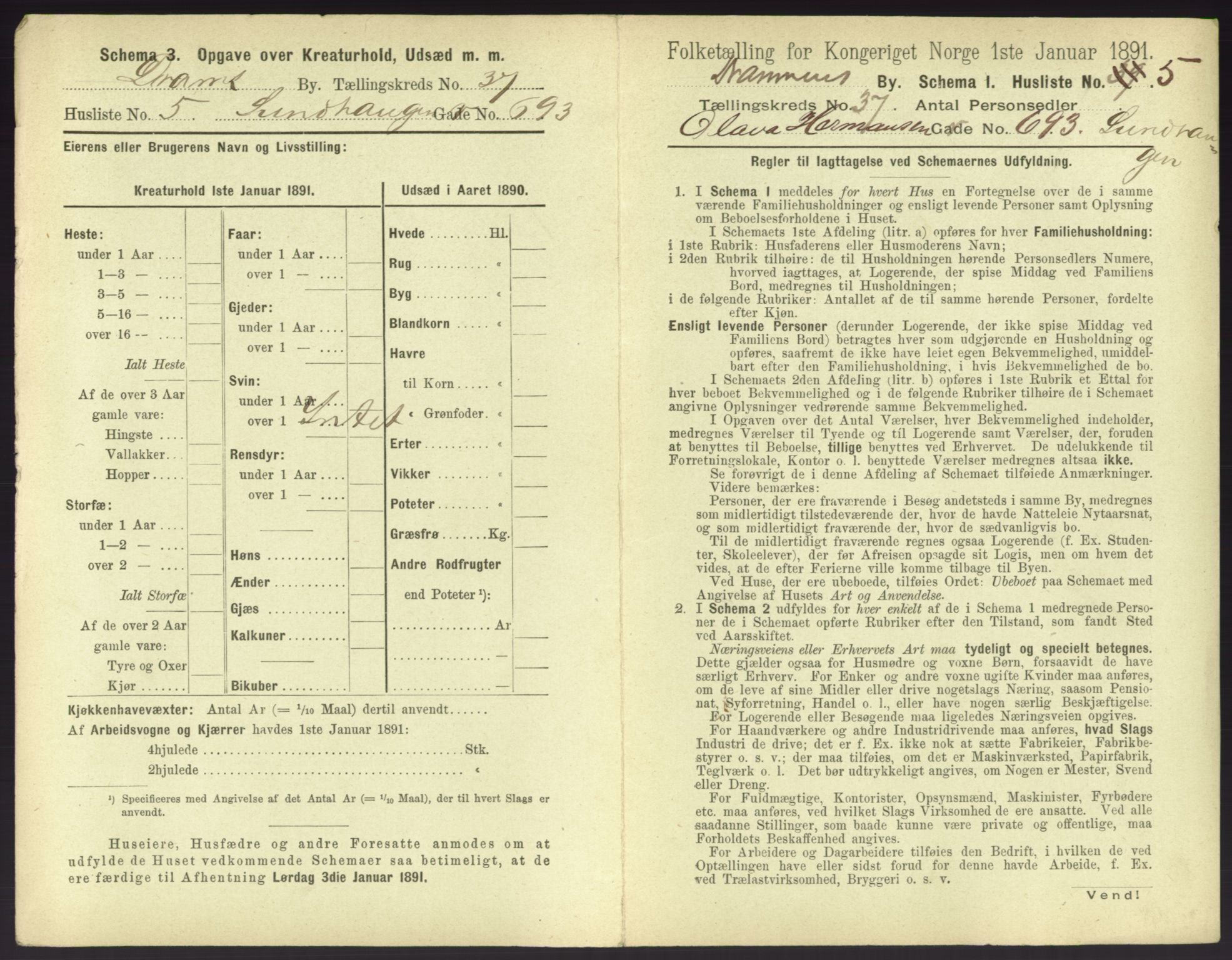 RA, 1891 census for 0602 Drammen, 1891, p. 3369