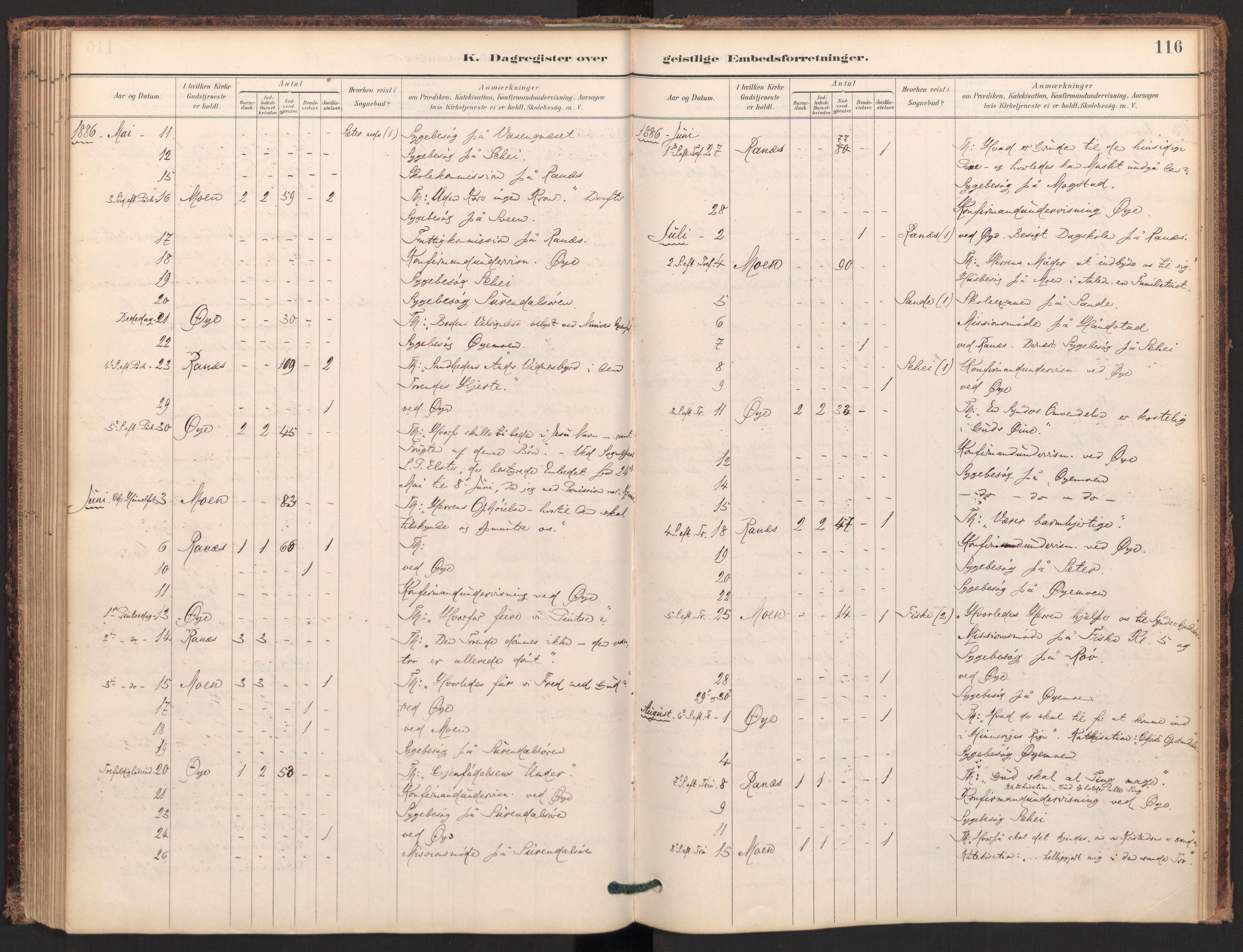 Ministerialprotokoller, klokkerbøker og fødselsregistre - Møre og Romsdal, AV/SAT-A-1454/595/L1047: Parish register (official) no. 595A09, 1885-1900, p. 116