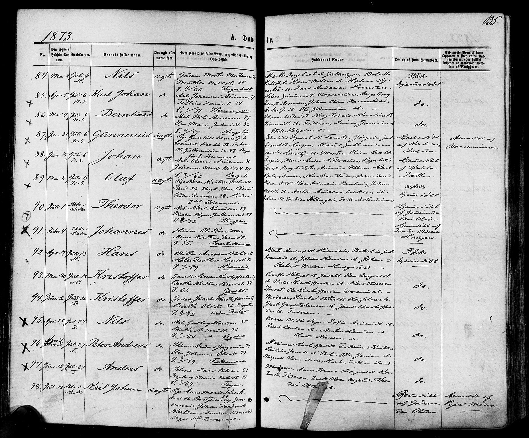 Eiker kirkebøker, SAKO/A-4/F/Fa/L0017: Parish register (official) no. I 17, 1869-1877, p. 135