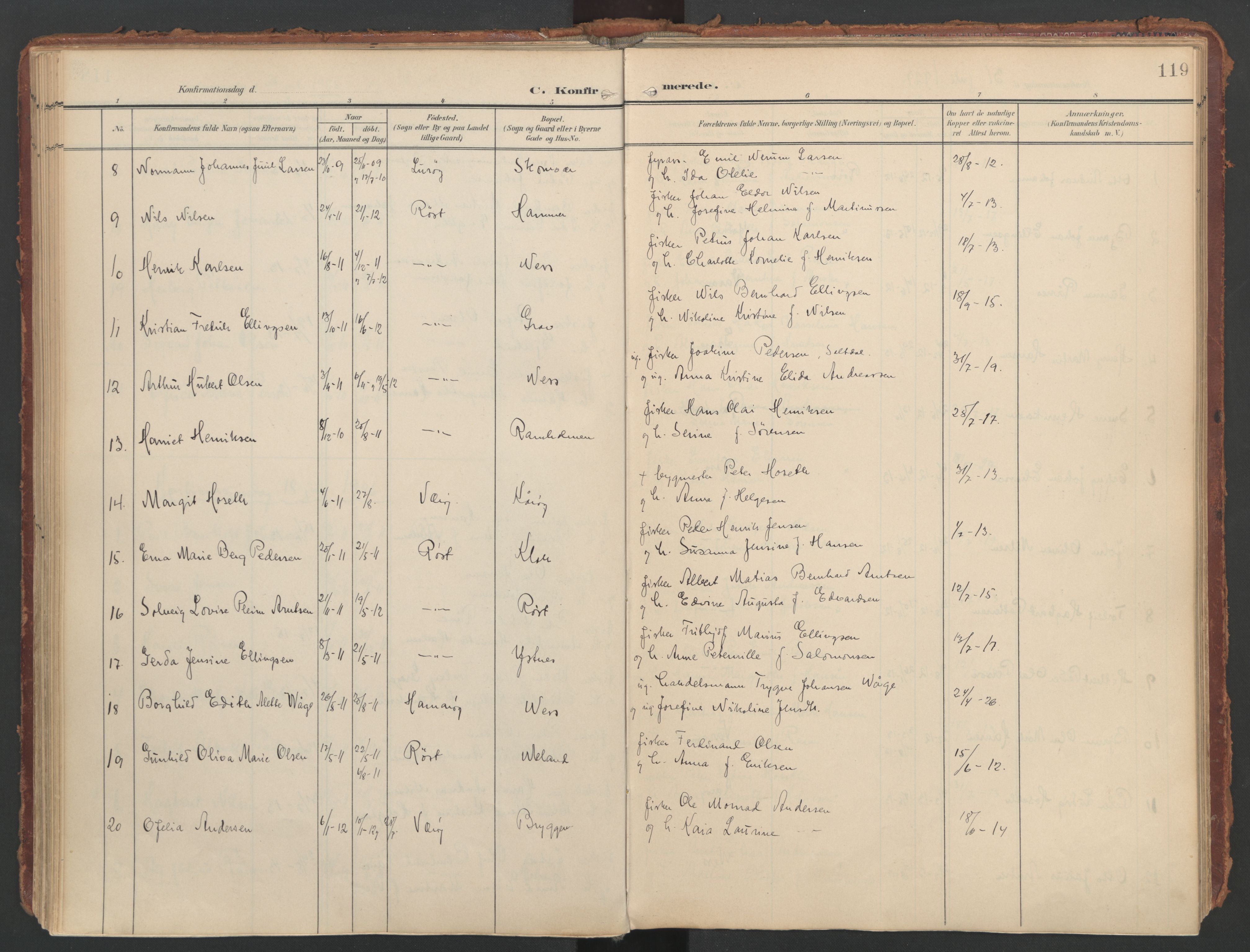 Ministerialprotokoller, klokkerbøker og fødselsregistre - Nordland, AV/SAT-A-1459/808/L0129: Parish register (official) no. 808A02, 1903-1931, p. 119