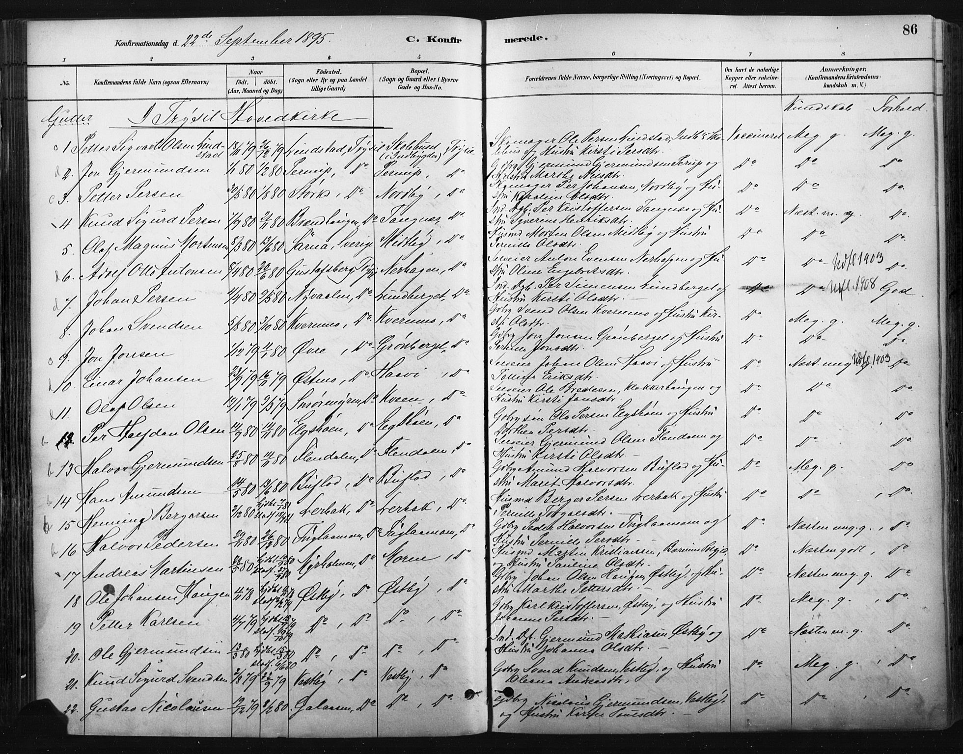 Trysil prestekontor, SAH/PREST-046/H/Ha/Haa/L0009: Parish register (official) no. 9, 1881-1897, p. 86