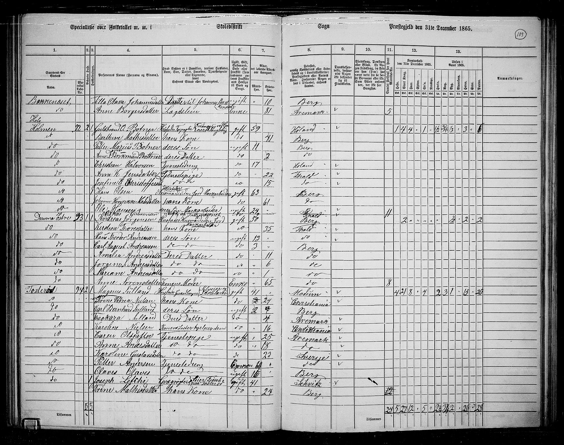 RA, 1865 census for Berg, 1865, p. 92