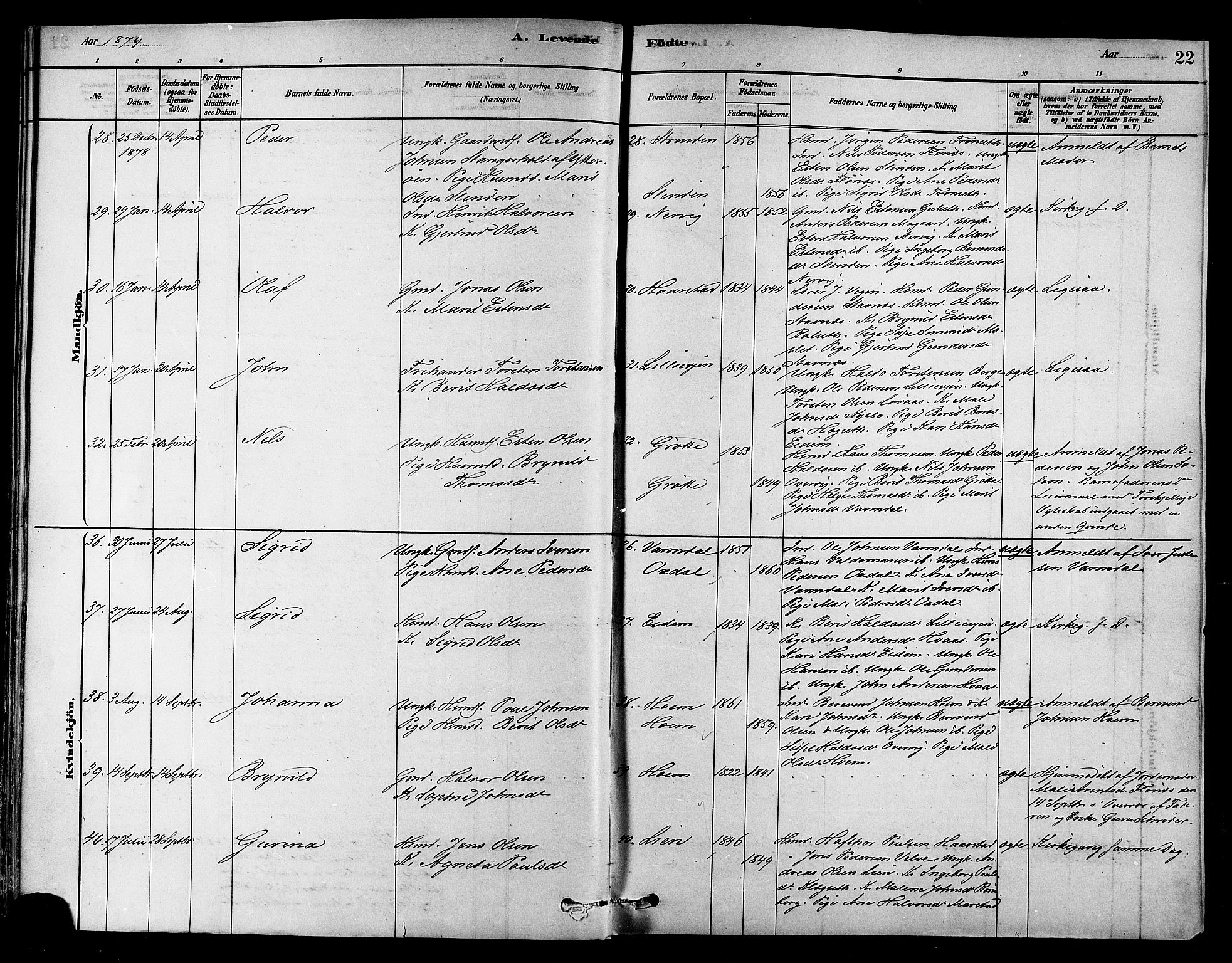 Ministerialprotokoller, klokkerbøker og fødselsregistre - Sør-Trøndelag, AV/SAT-A-1456/695/L1148: Parish register (official) no. 695A08, 1878-1891, p. 22