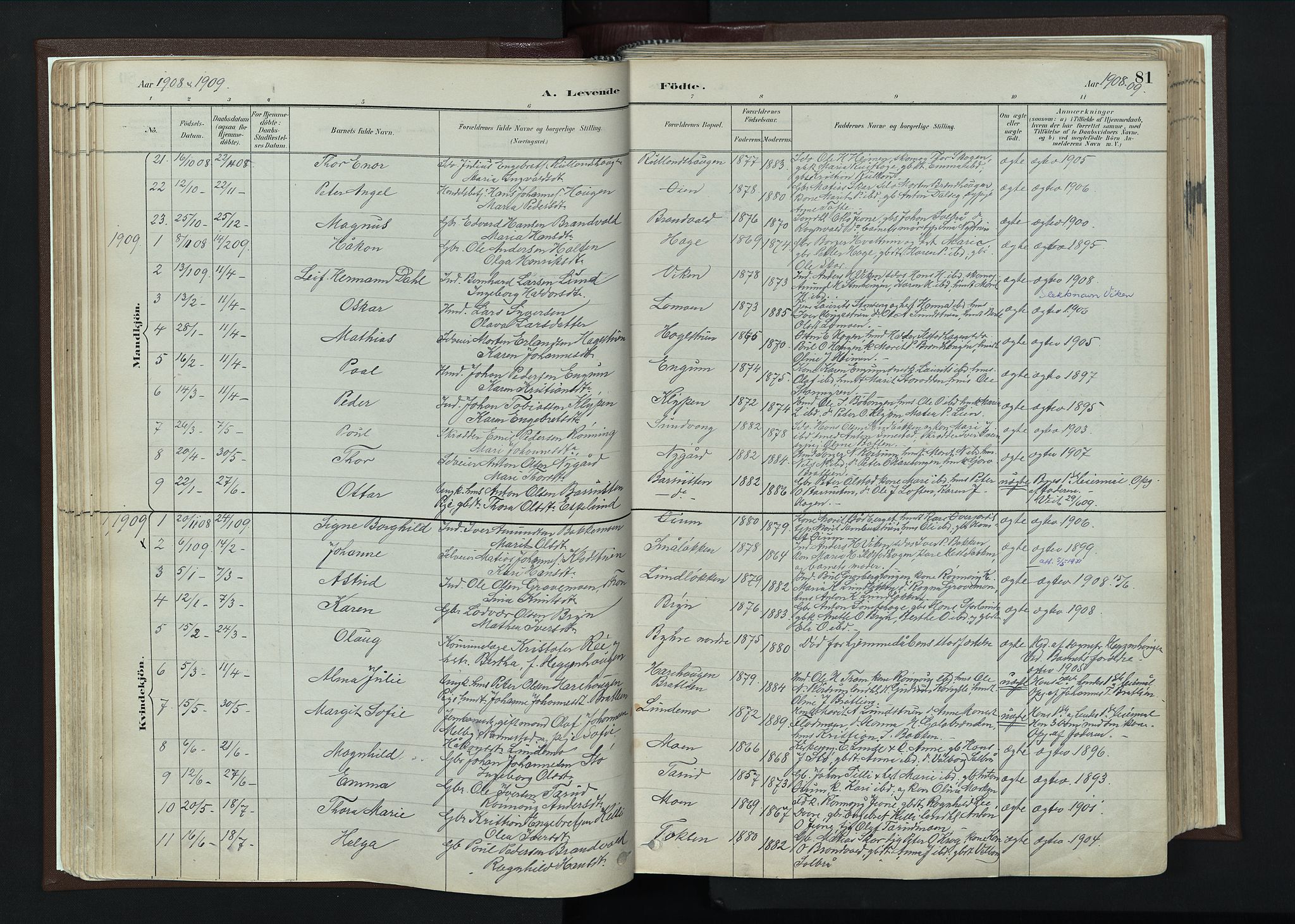 Nord-Fron prestekontor, SAH/PREST-080/H/Ha/Haa/L0004: Parish register (official) no. 4, 1884-1914, p. 81