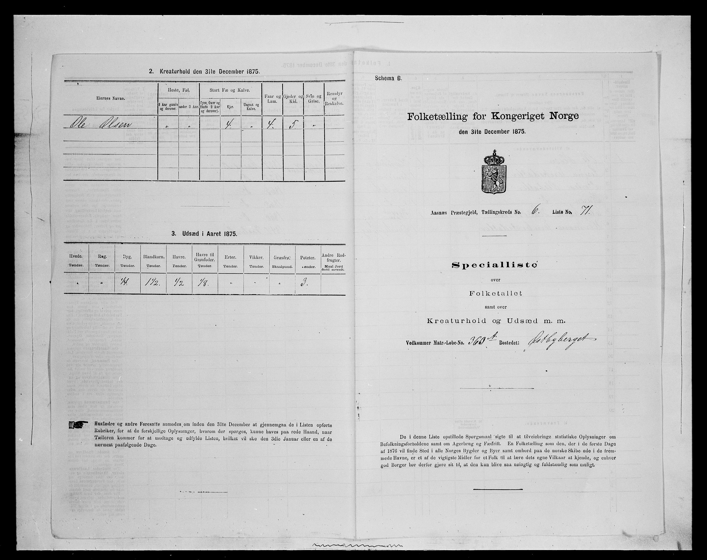 SAH, 1875 census for 0425P Åsnes, 1875, p. 956