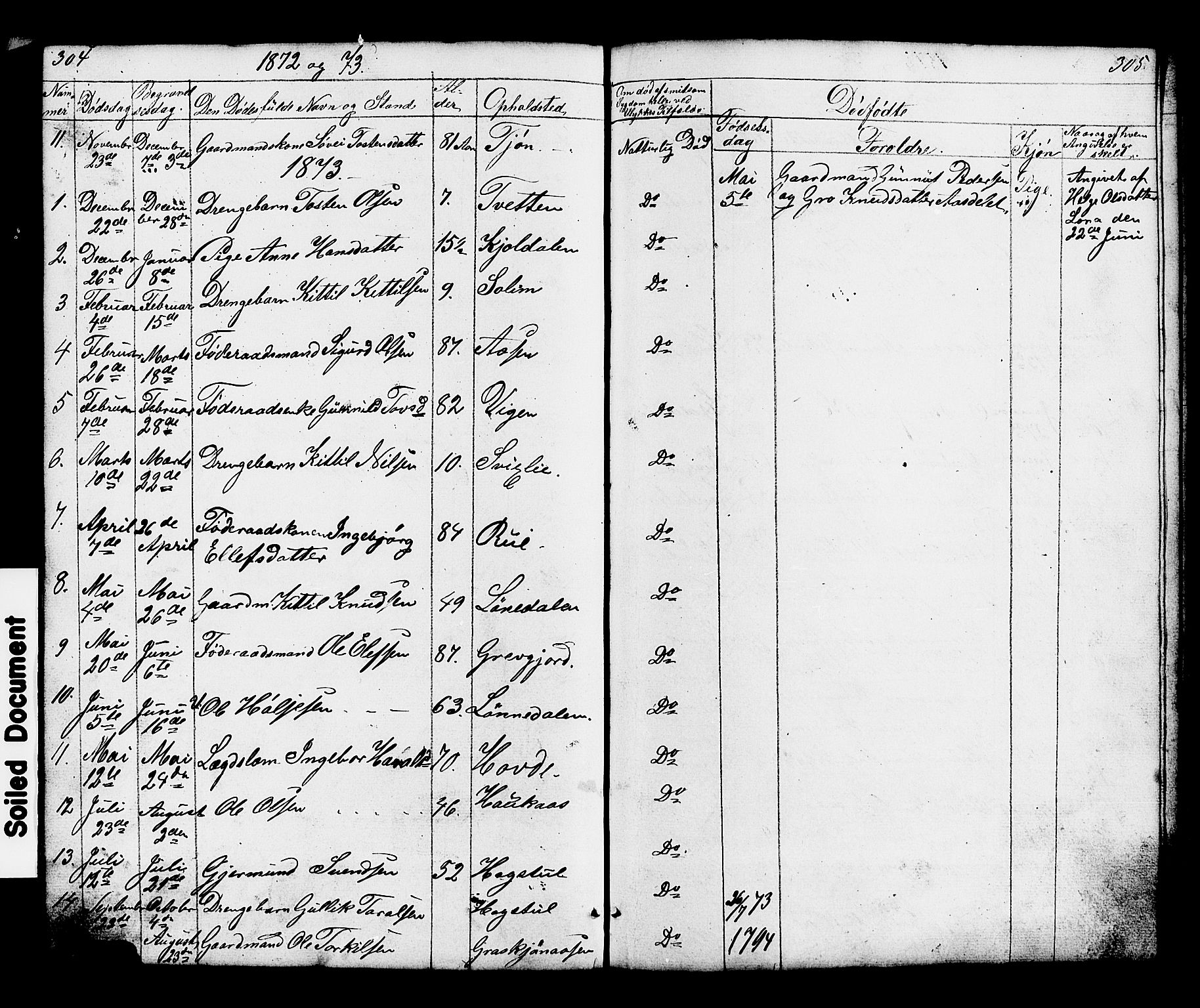 Hjartdal kirkebøker, SAKO/A-270/G/Gc/L0002: Parish register (copy) no. III 2, 1854-1890, p. 304-305