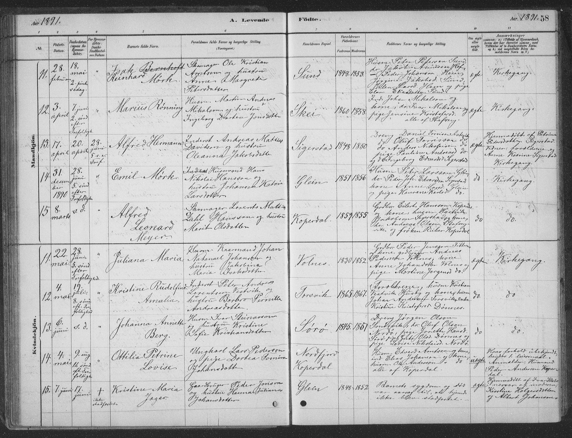 Ministerialprotokoller, klokkerbøker og fødselsregistre - Nordland, AV/SAT-A-1459/835/L0532: Parish register (copy) no. 835C04, 1880-1905, p. 58