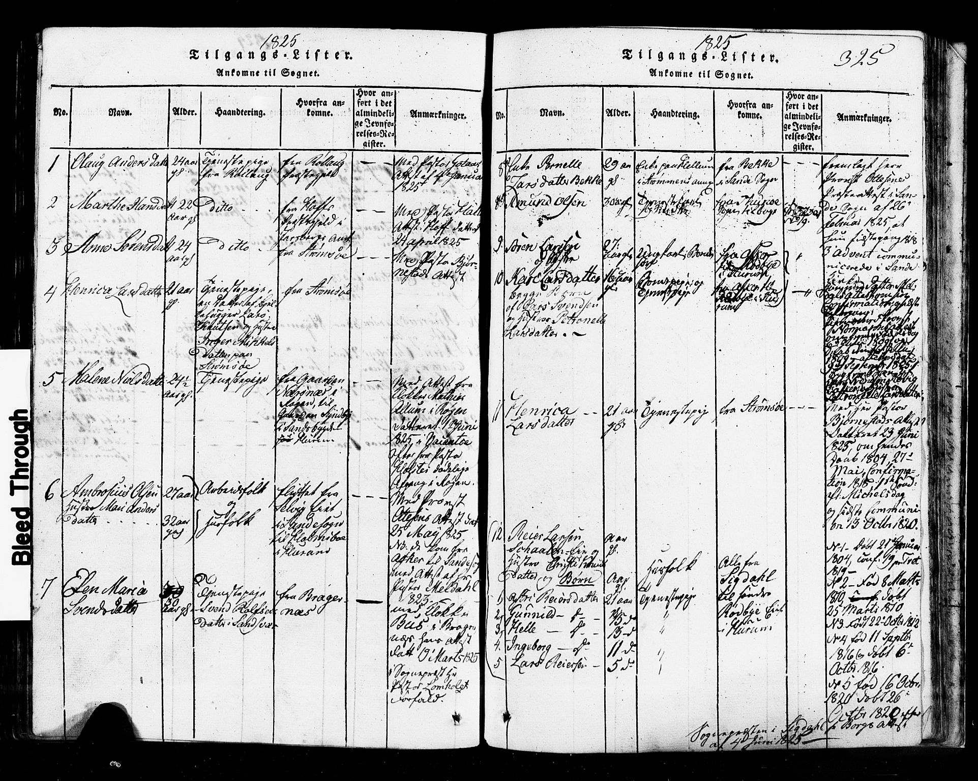 Hurum kirkebøker, SAKO/A-229/G/Ga/L0001: Parish register (copy) no. I 1, 1816-1826, p. 325