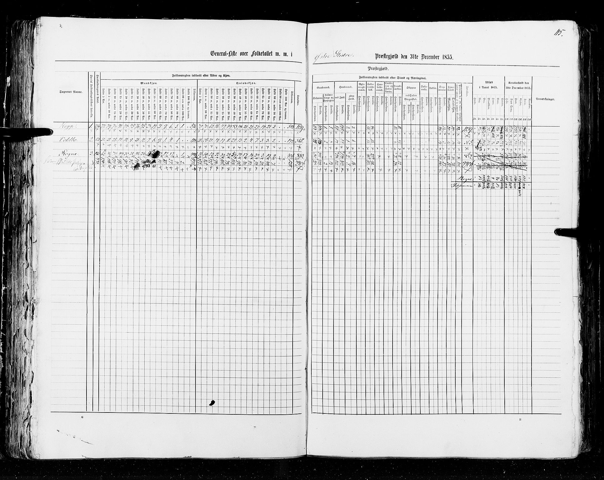 RA, Census 1855, vol. 2: Kristians amt, Buskerud amt og Jarlsberg og Larvik amt, 1855, p. 115