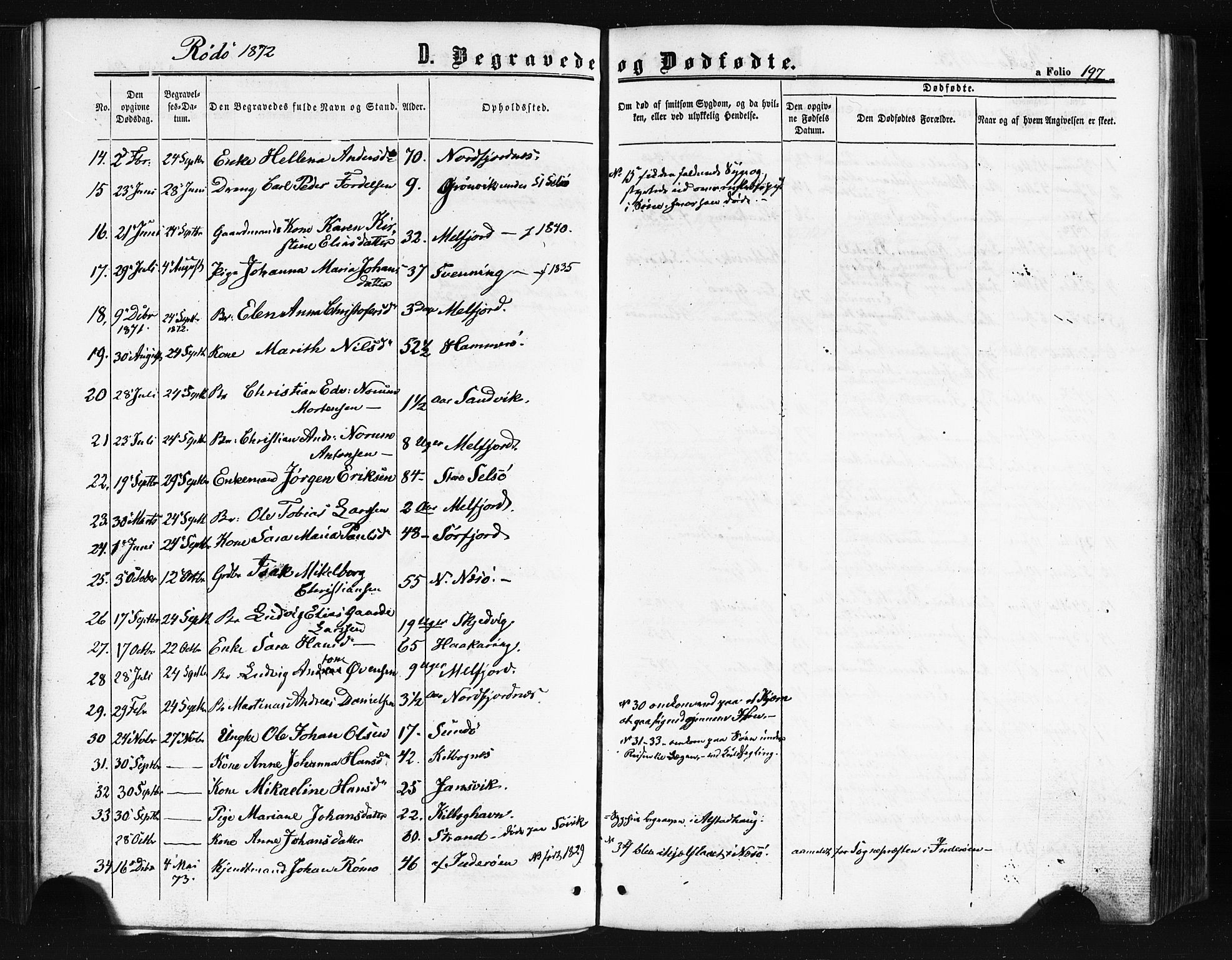 Ministerialprotokoller, klokkerbøker og fødselsregistre - Nordland, AV/SAT-A-1459/841/L0607: Parish register (official) no. 841A11 /1, 1863-1877, p. 197