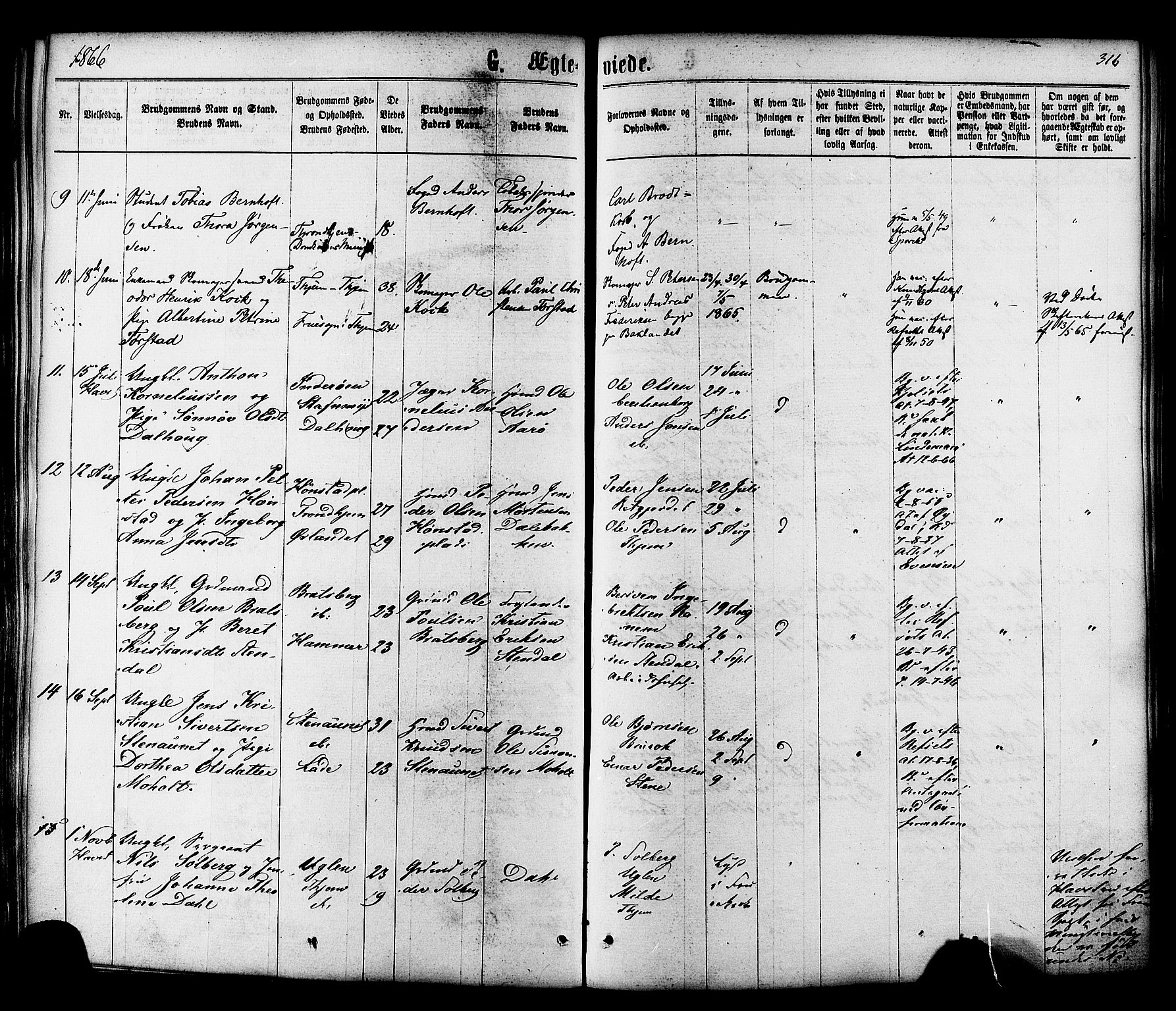 Ministerialprotokoller, klokkerbøker og fødselsregistre - Sør-Trøndelag, SAT/A-1456/606/L0293: Parish register (official) no. 606A08, 1866-1877, p. 316